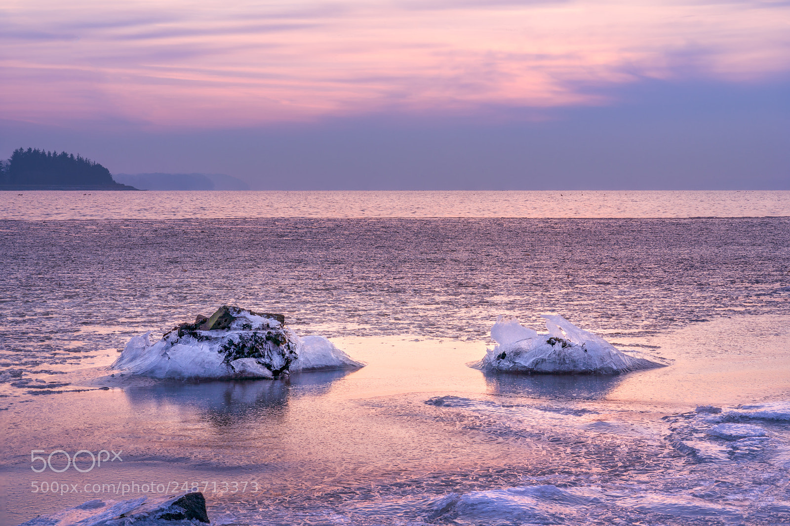 Sony a7R III sample photo. Frozen photography