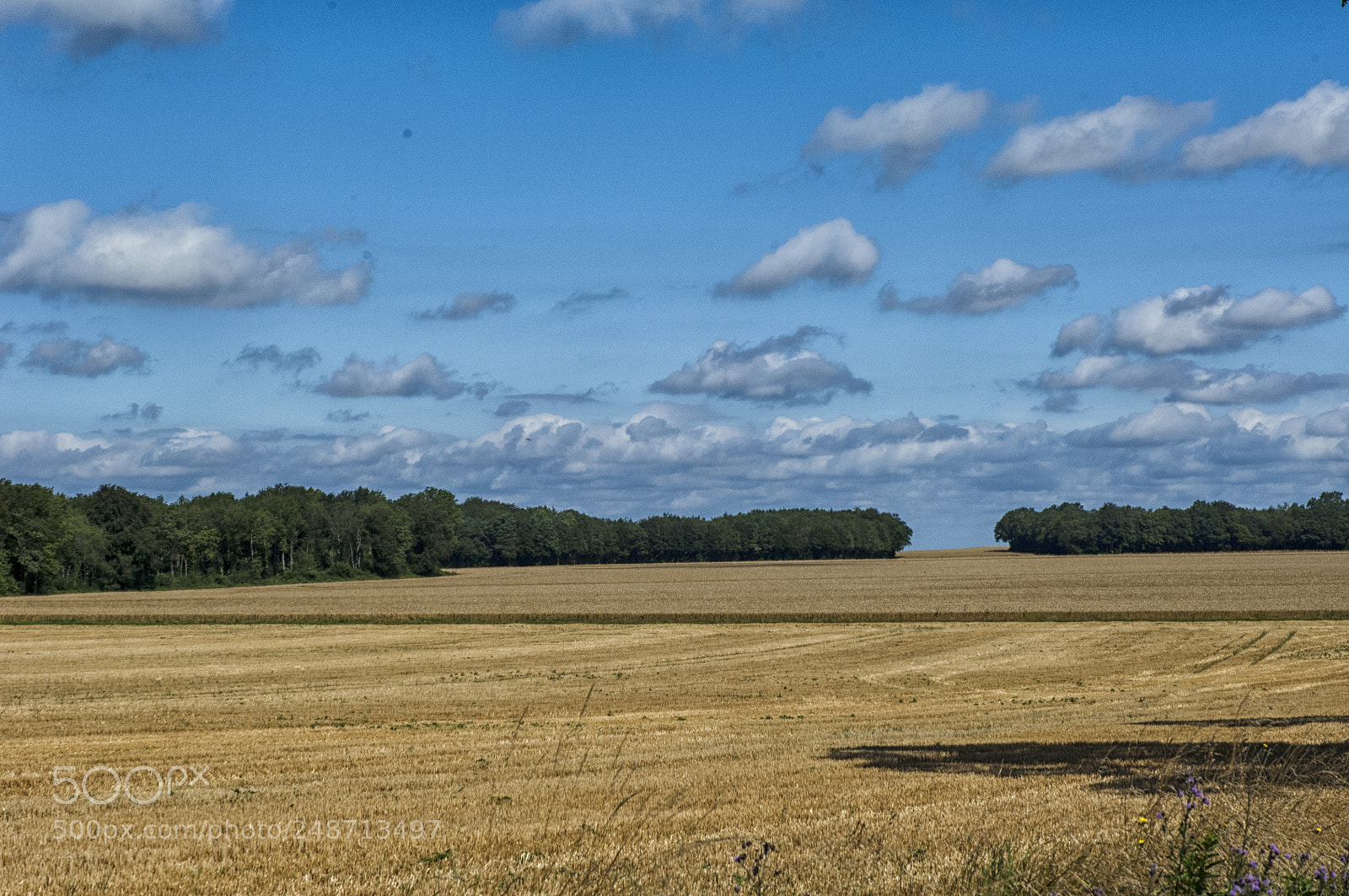 Nikon D2X sample photo. Francia photography