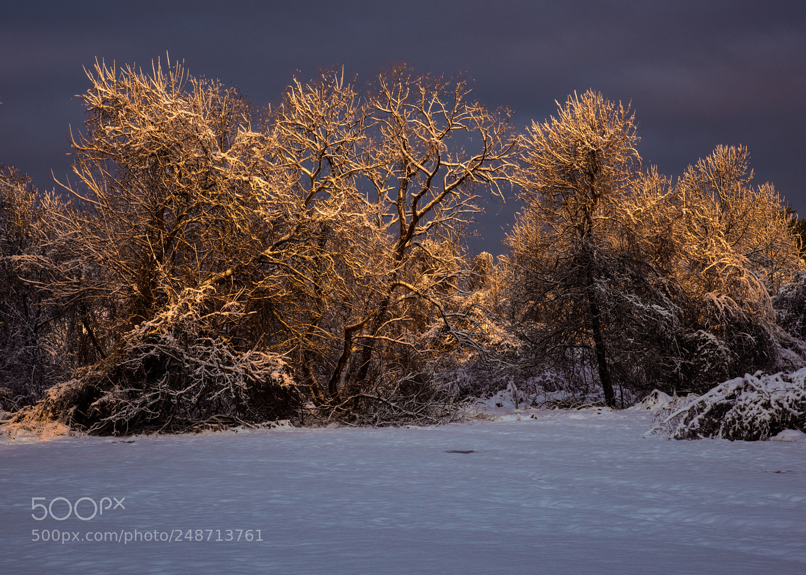 Nikon D810 sample photo. Morning glow photography
