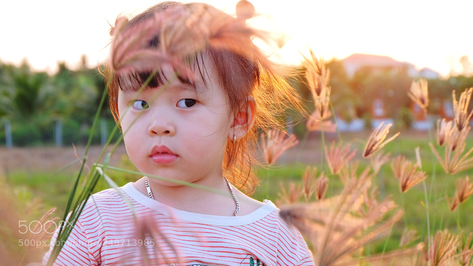 Fujifilm X-E2 sample photo. Untitled photography