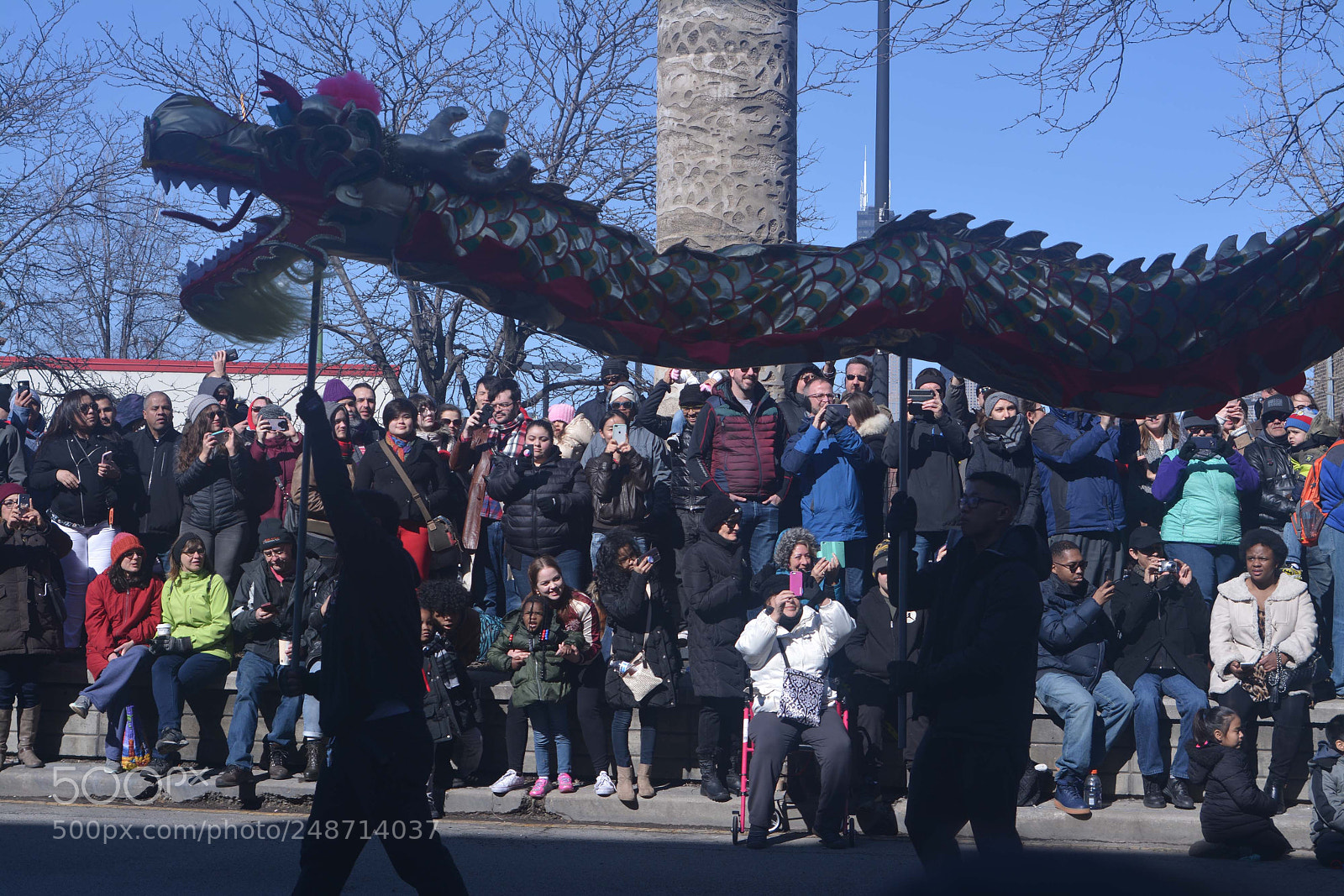 Nikon D7100 sample photo. Dragon at chicago chinese photography