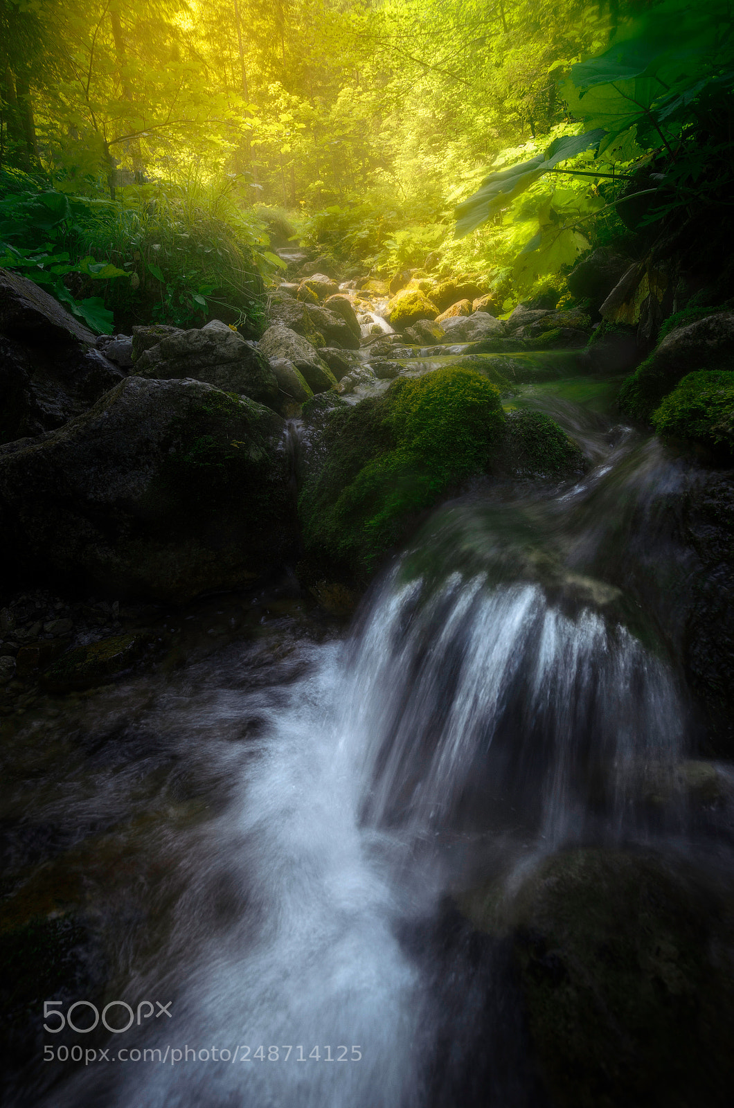 Nikon D5100 sample photo. Stream in the high-tatras photography