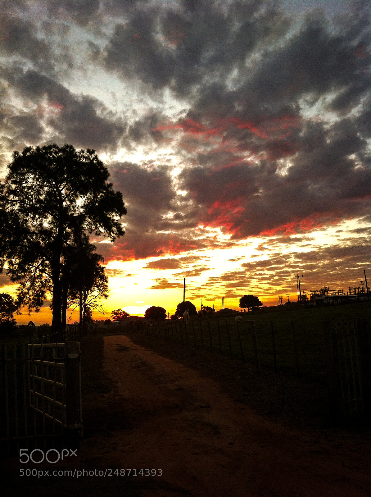 Apple iPhone 4 sample photo. Sunset at the camp photography