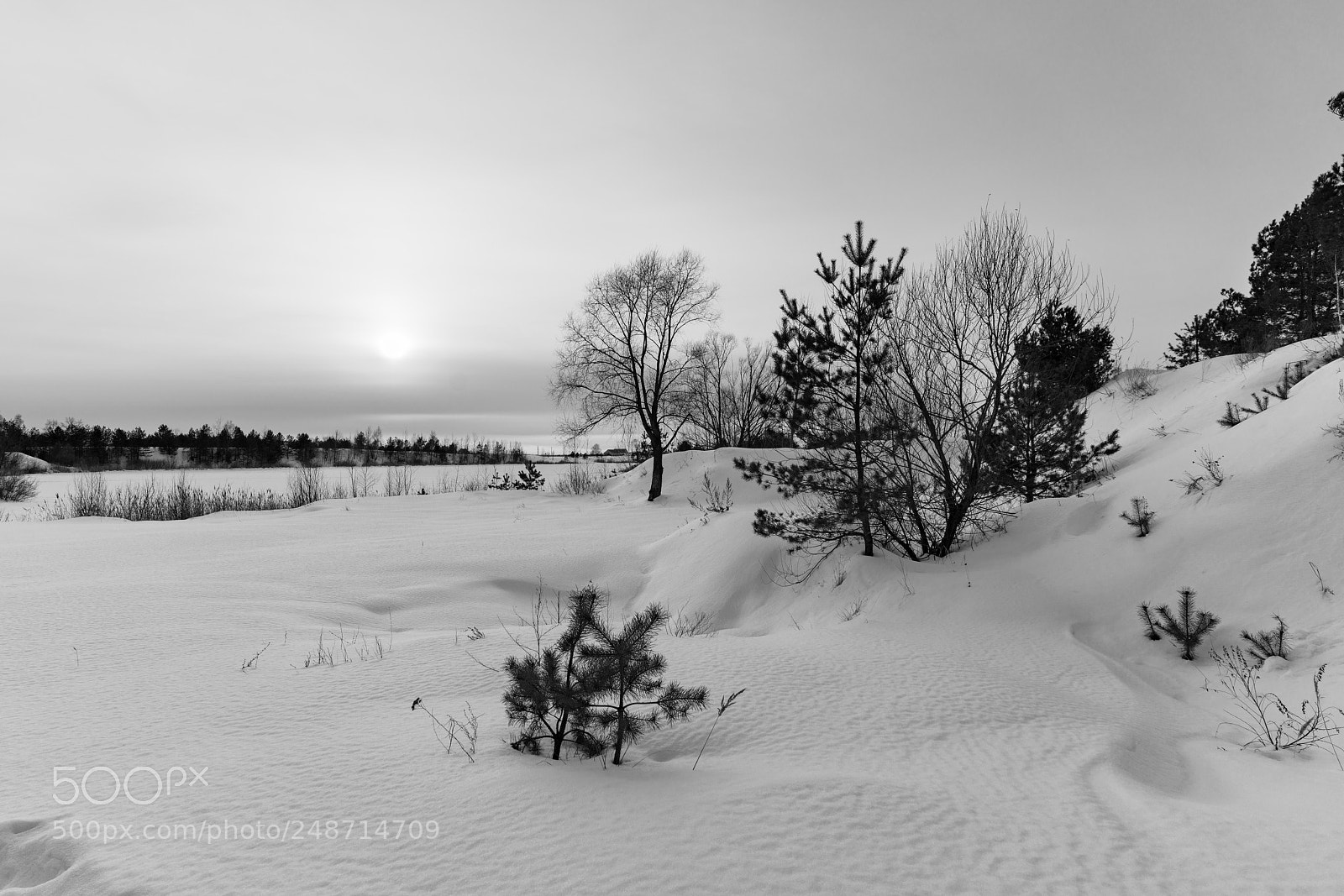 Sony a7R II sample photo. Winter. photography