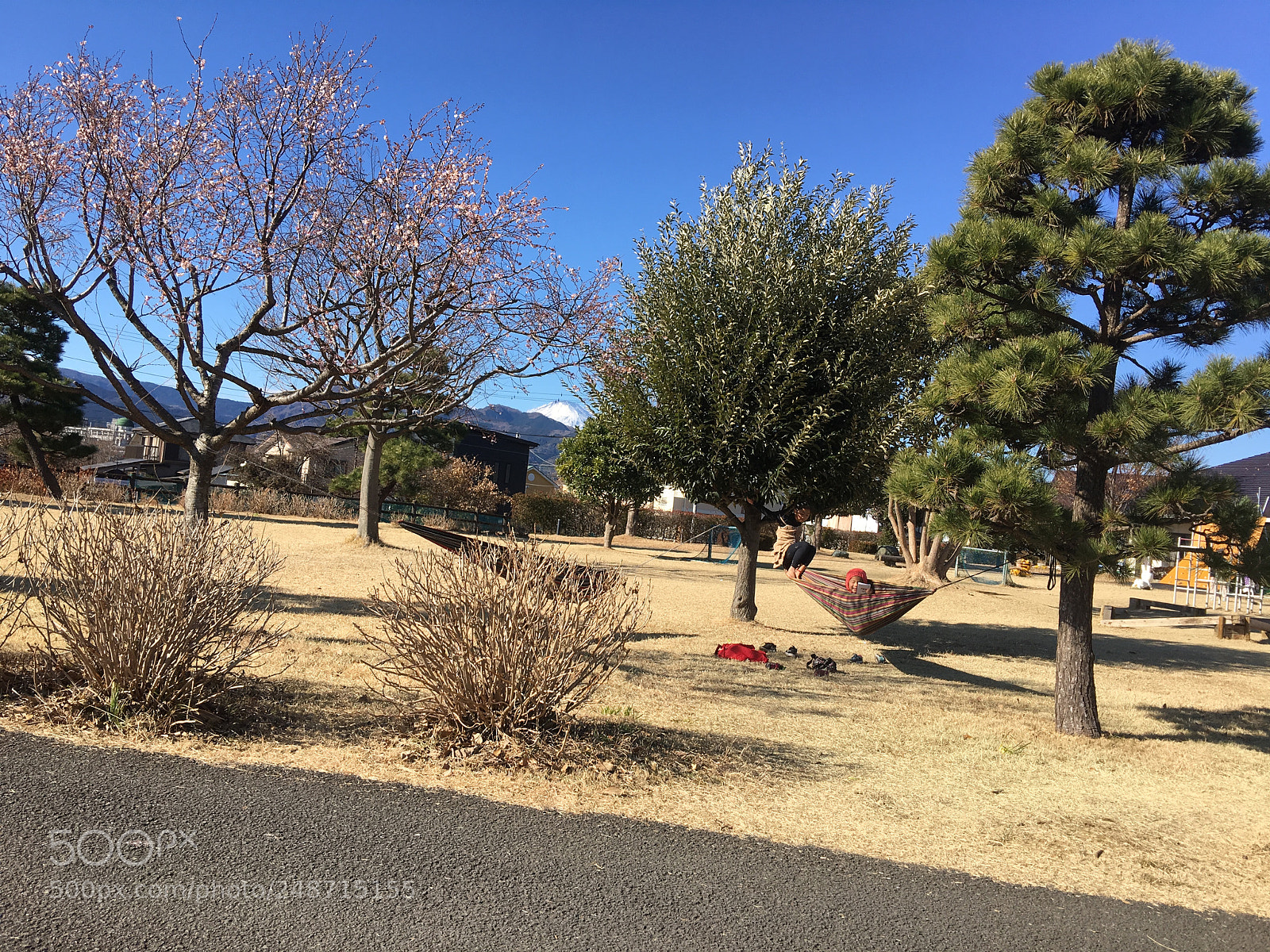 Apple iPhone 6s Plus sample photo. Untitled photography