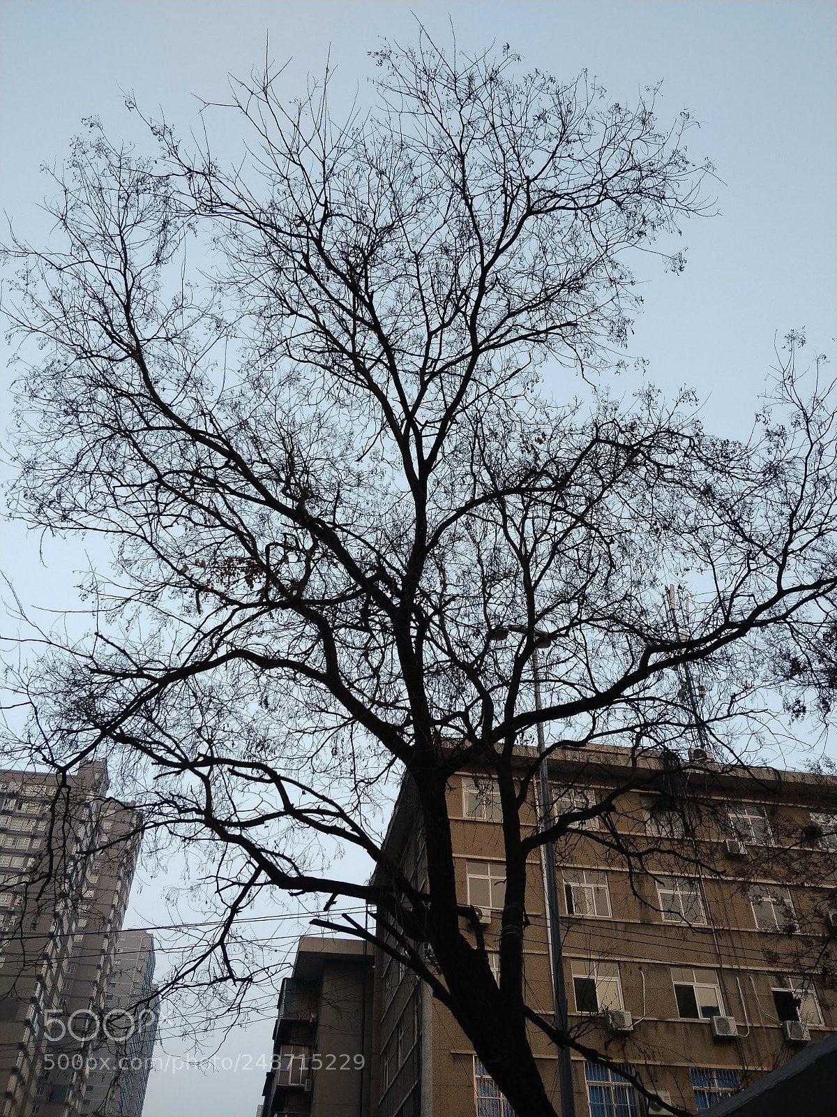 OnePlus 5T sample photo. Img_20180309_182609.jpg photography