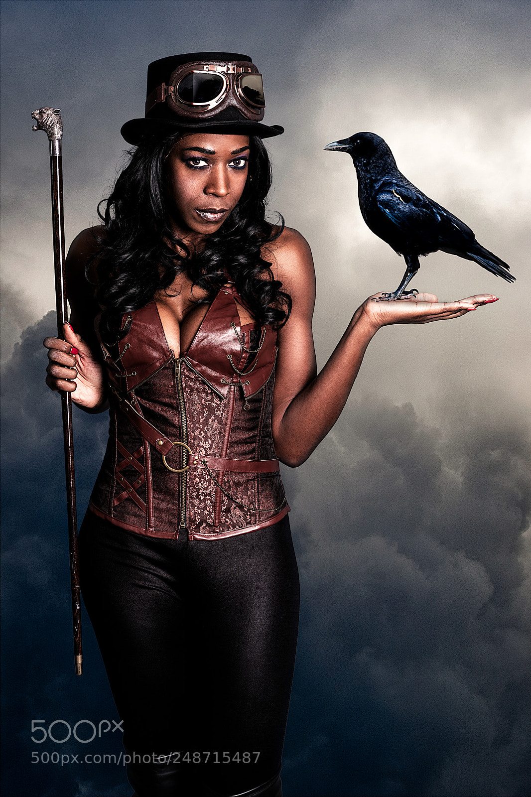 Sony a9 sample photo. The crow photography