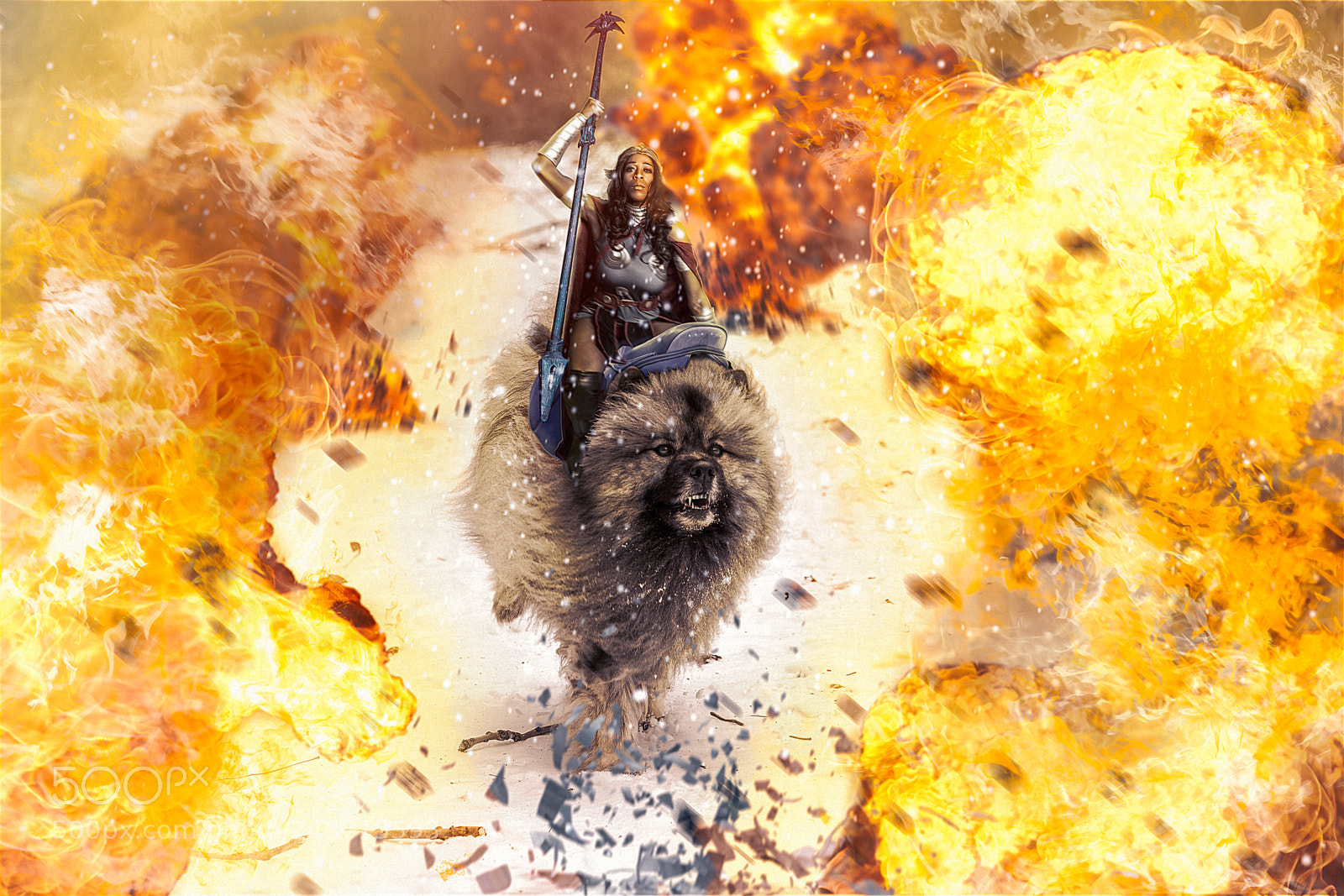 Sony a9 sample photo. Dog of war photography