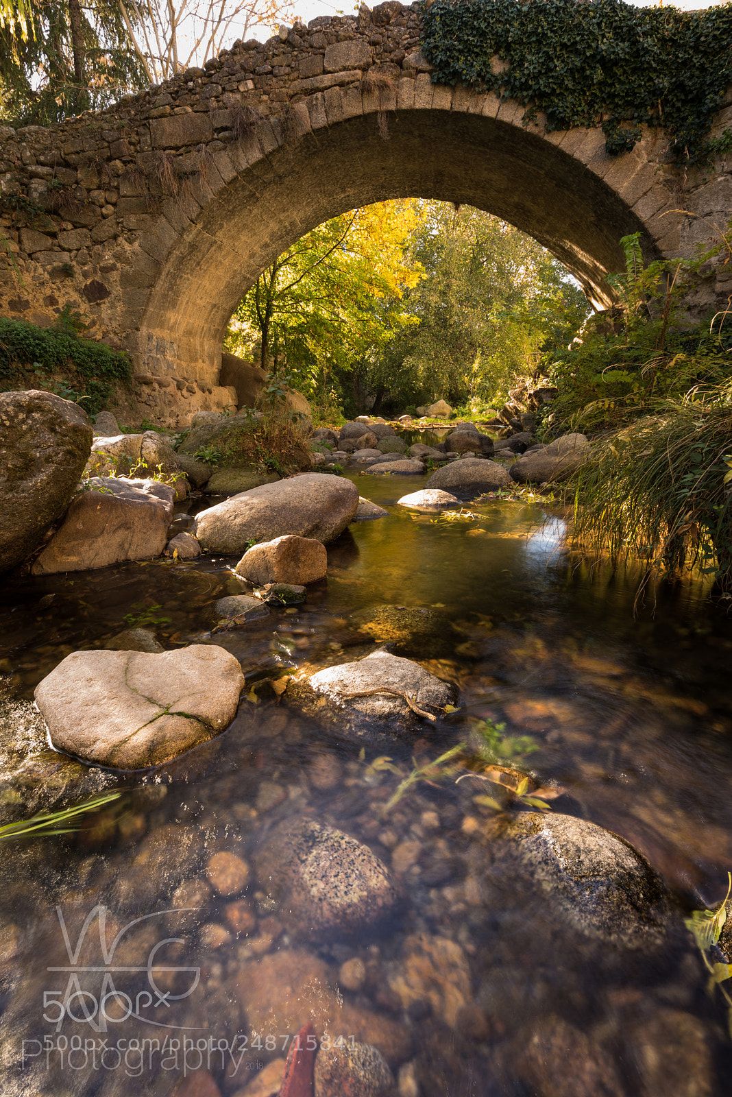 Sony a7R sample photo. The stone eye el photography