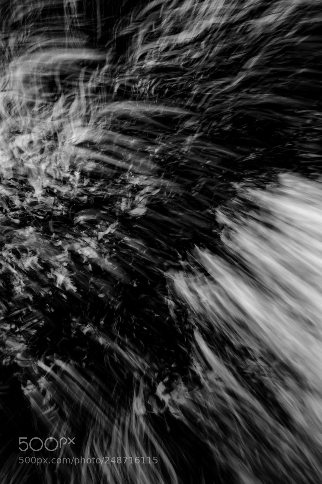 Canon EOS 650D (EOS Rebel T4i / EOS Kiss X6i) sample photo. 「moonlight sonata」 photography