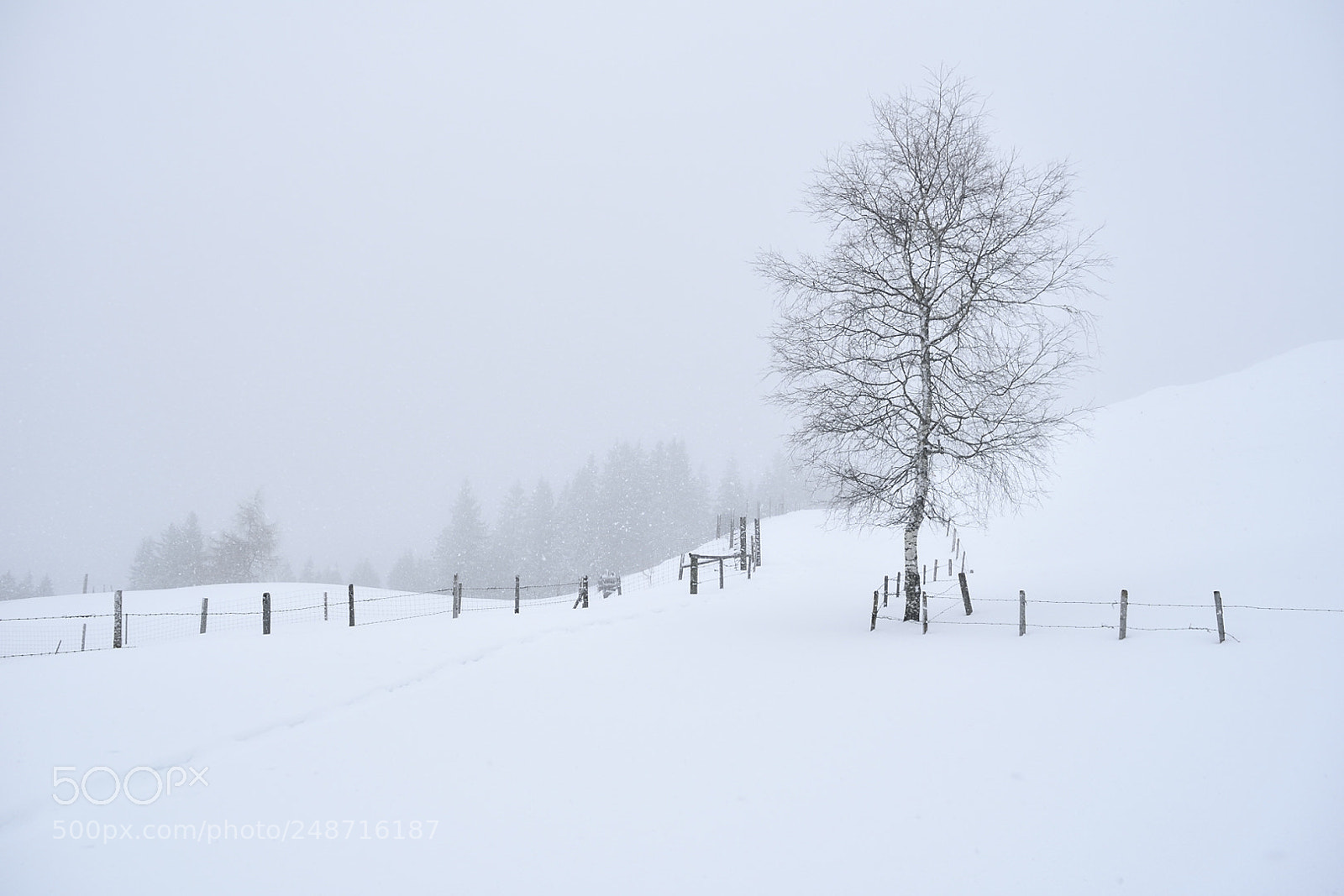 Nikon D5300 sample photo. Ambiance hivernale photography