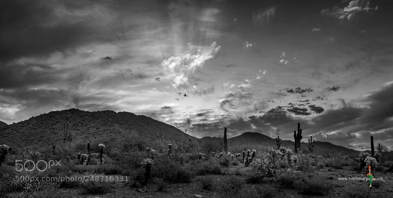 Nikon D7100 sample photo. Desert monochrome photography