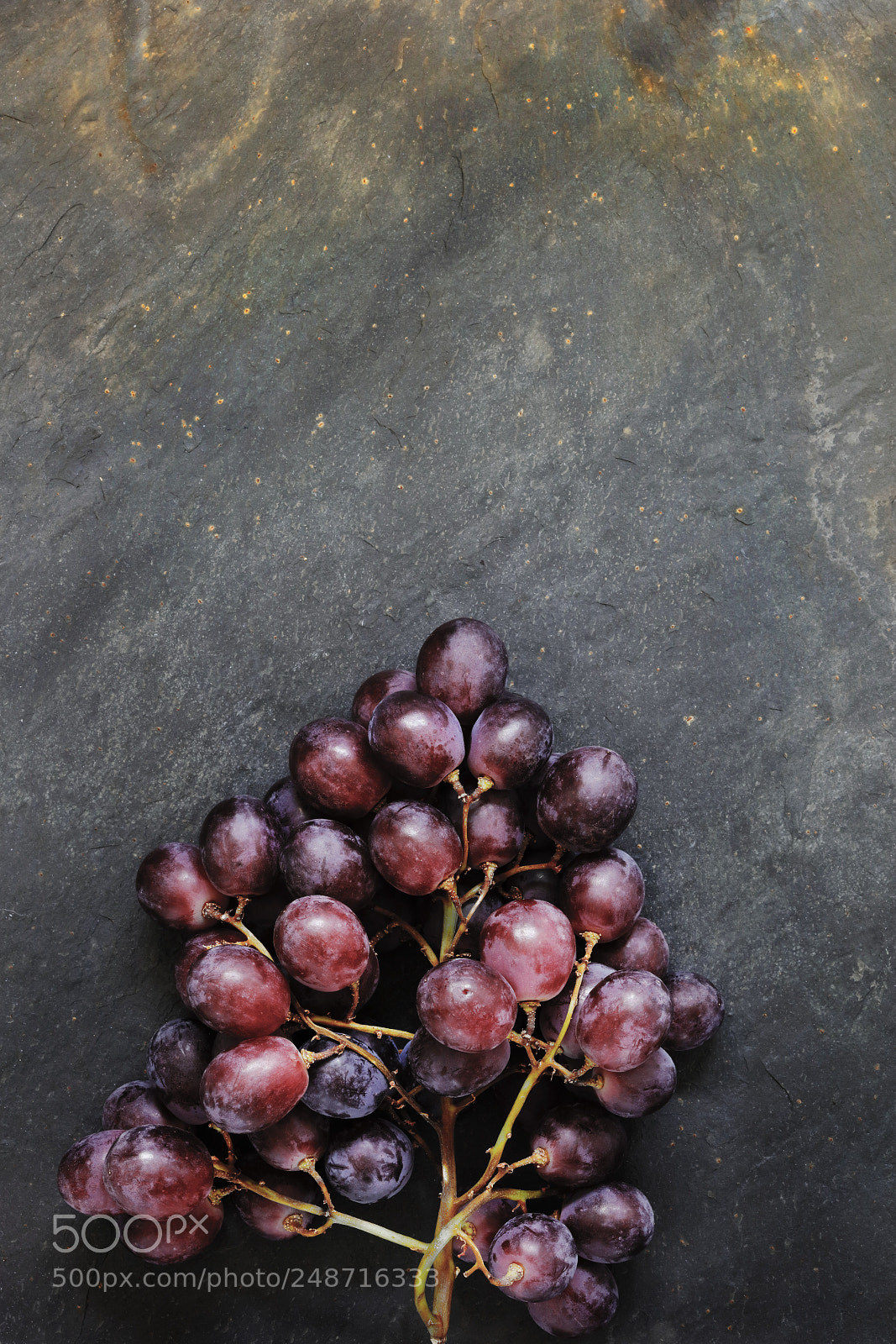 Canon EOS 5DS R sample photo. Dark grapes photography