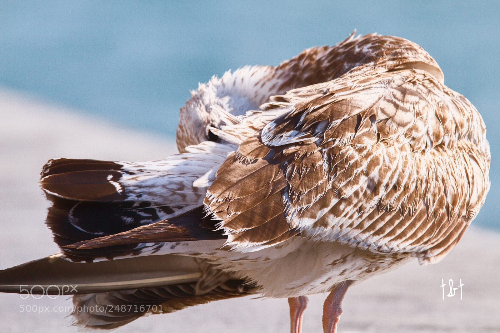 Canon EOS 7D sample photo. Untitled photography