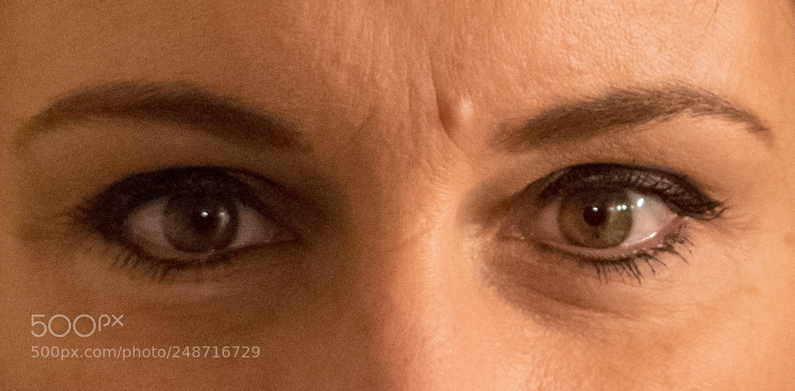 Nikon D3400 sample photo. Eyes of the beholder photography