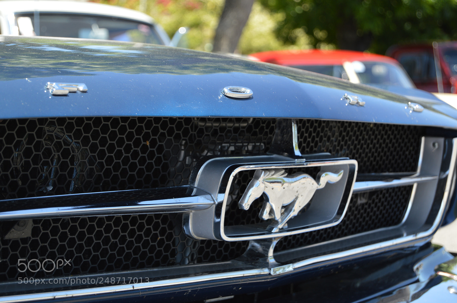 Nikon D3200 sample photo. Ford mustang photography