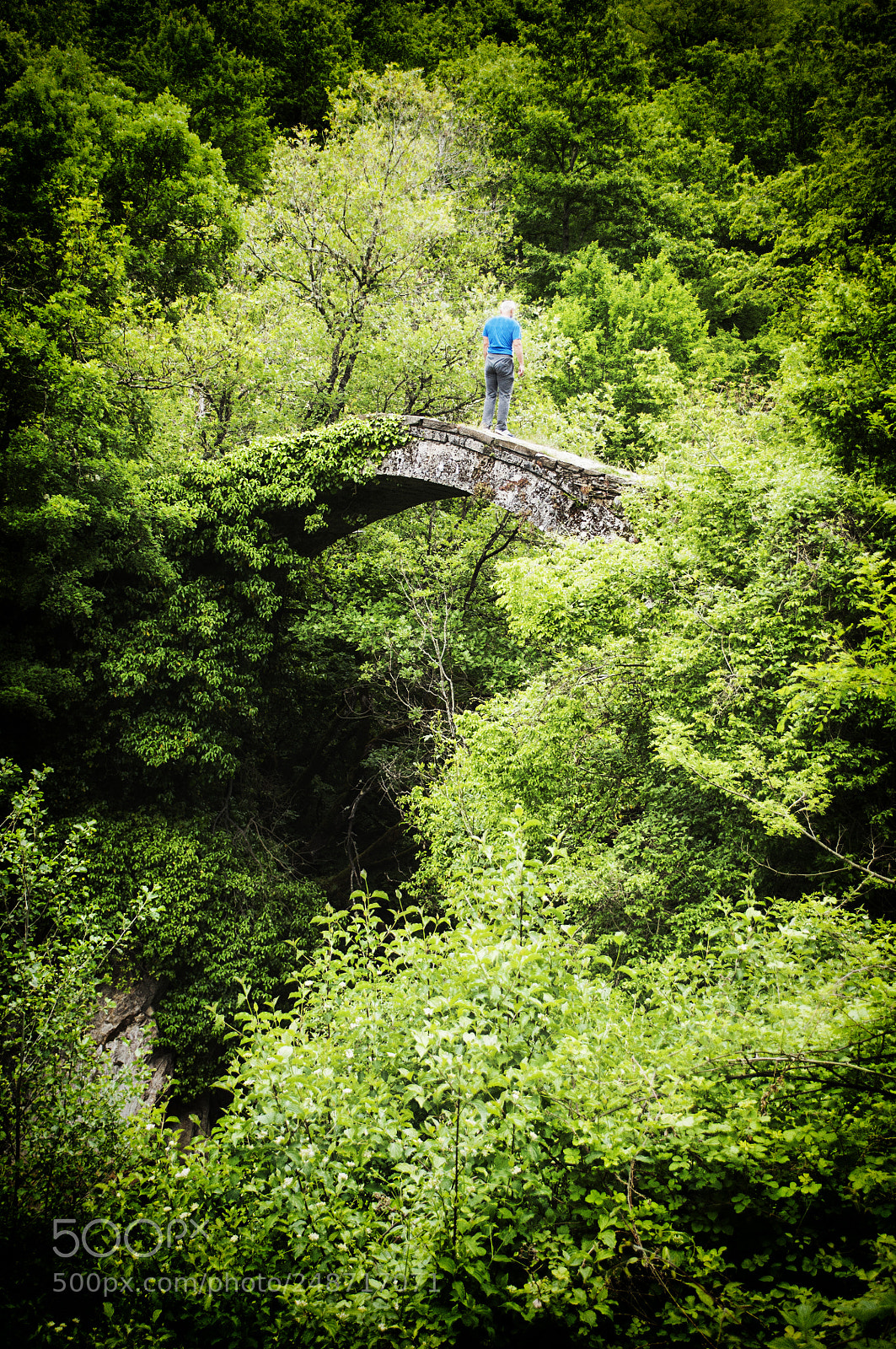 Nikon D5000 sample photo. Deer leap photography