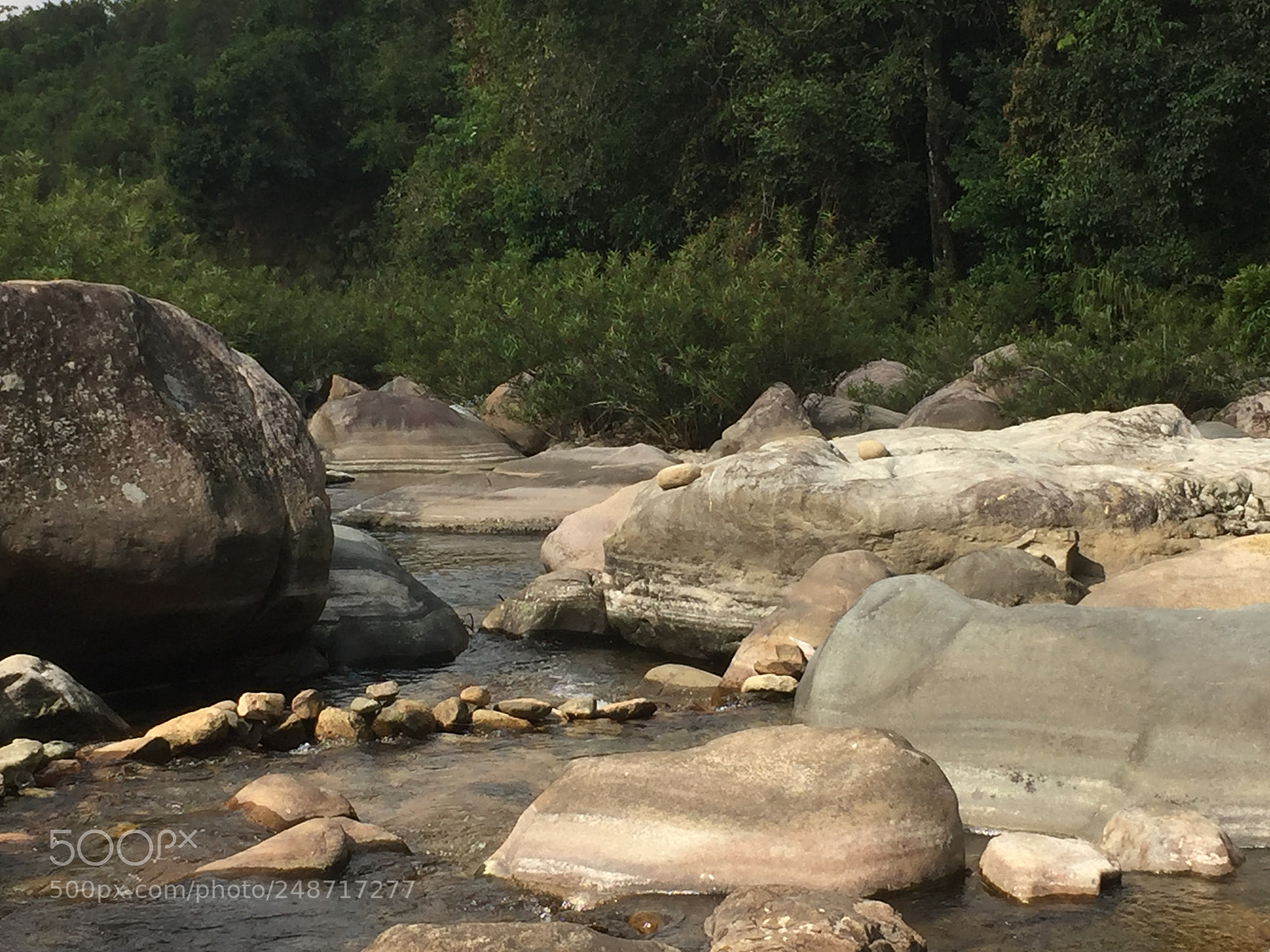 Apple iPhone 6 sample photo. Su i ch nh photography