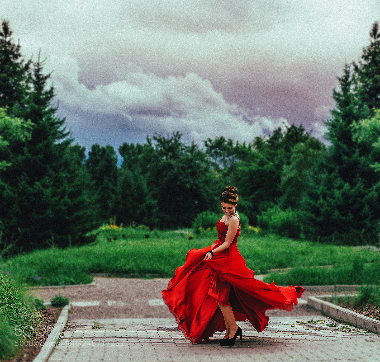 Nikon D610 sample photo. () photography