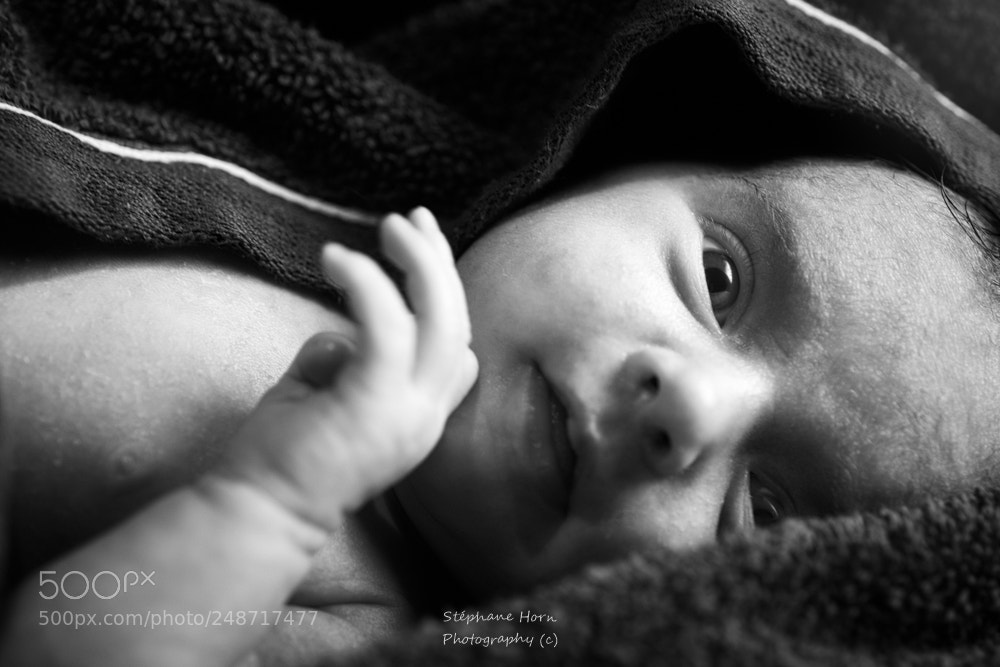 Nikon D800 sample photo. Juliette # 2 photography