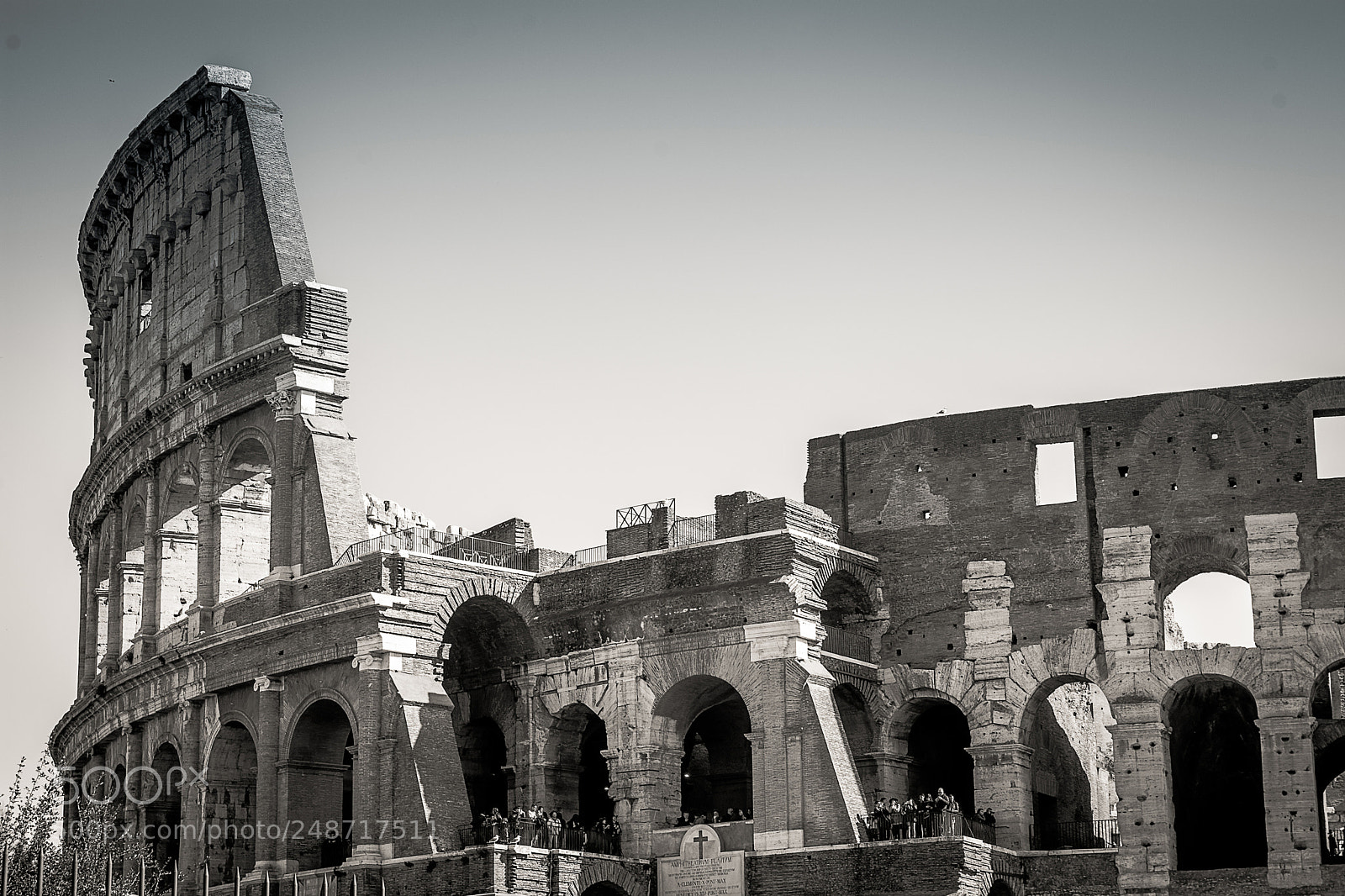 Nikon D7100 sample photo. From the coliseum photography