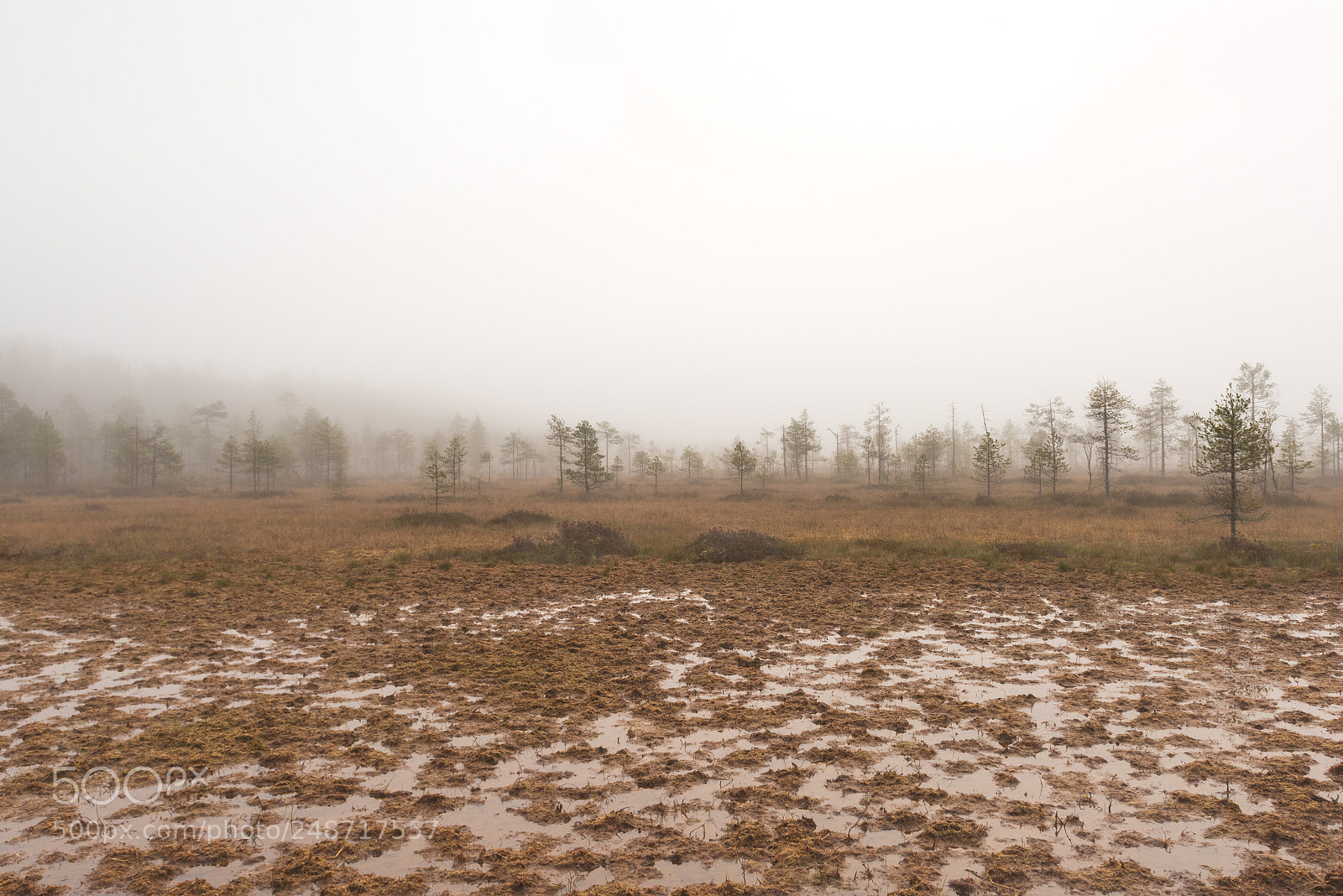 Nikon D810 sample photo. Untitled photography