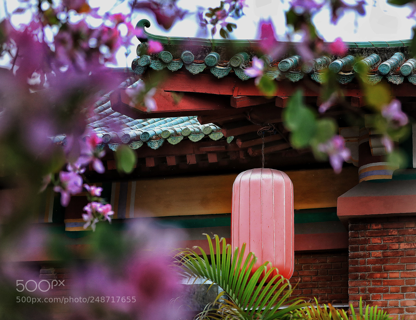 Canon EOS-1D X Mark II sample photo. Untitled photography