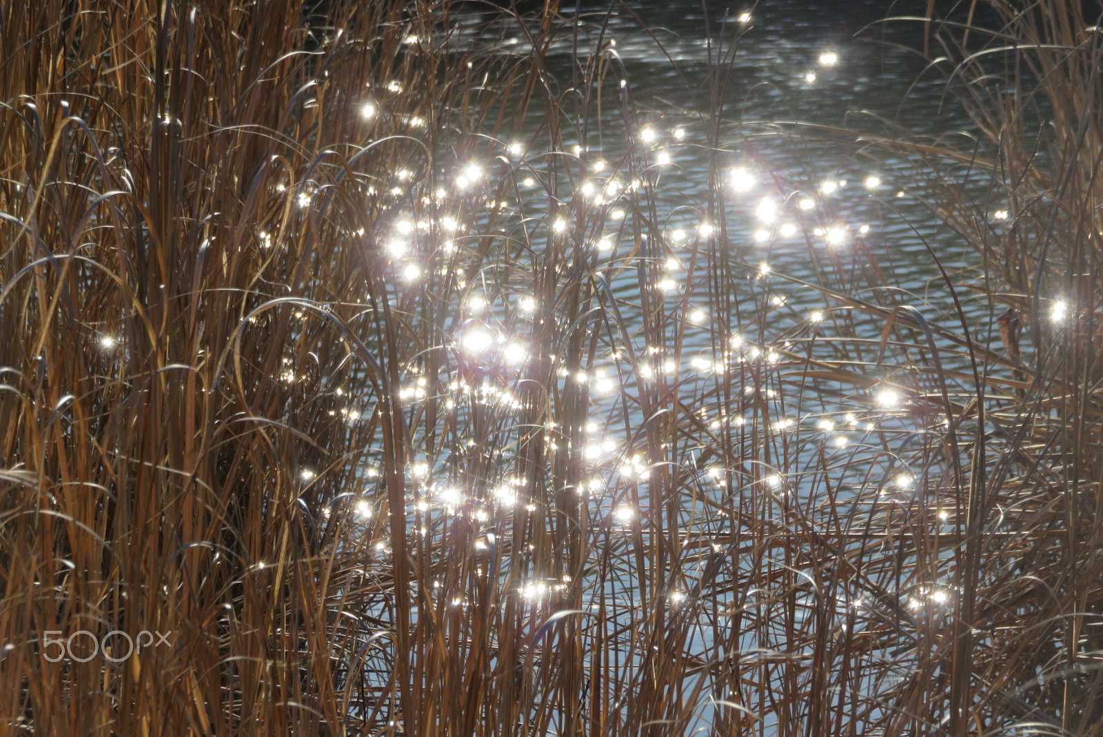 Canon PowerShot SX700 HS sample photo. Sparkles photography