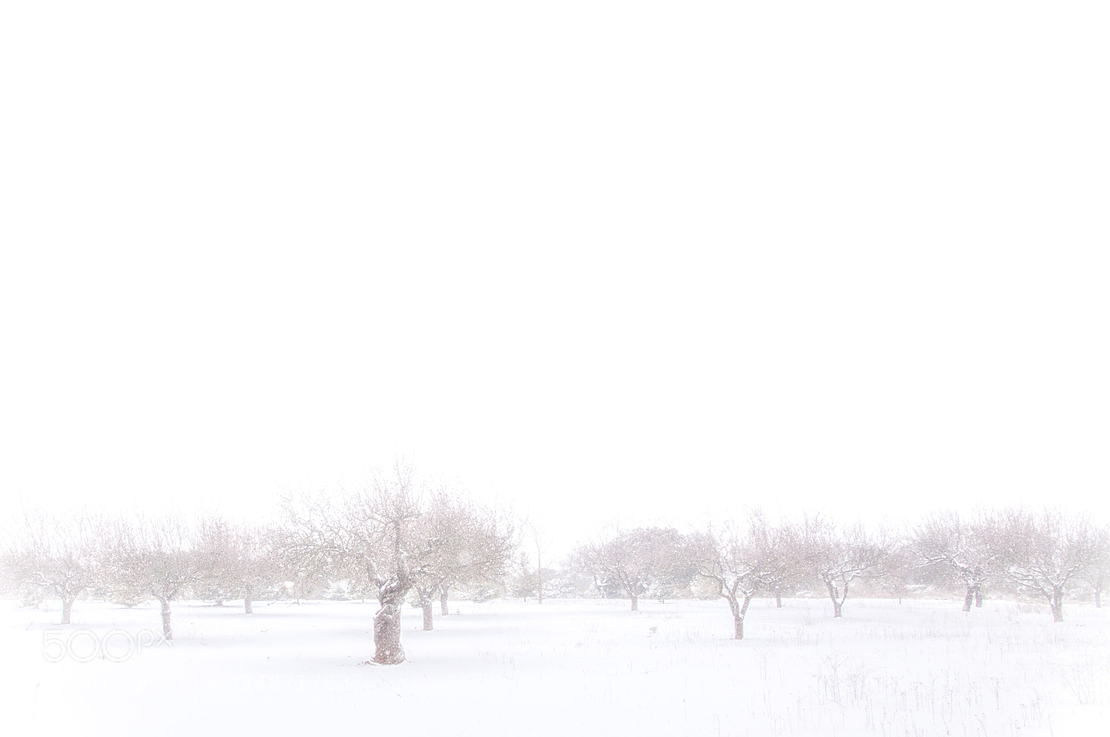Nikon D90 sample photo. Calm & peaceful photography