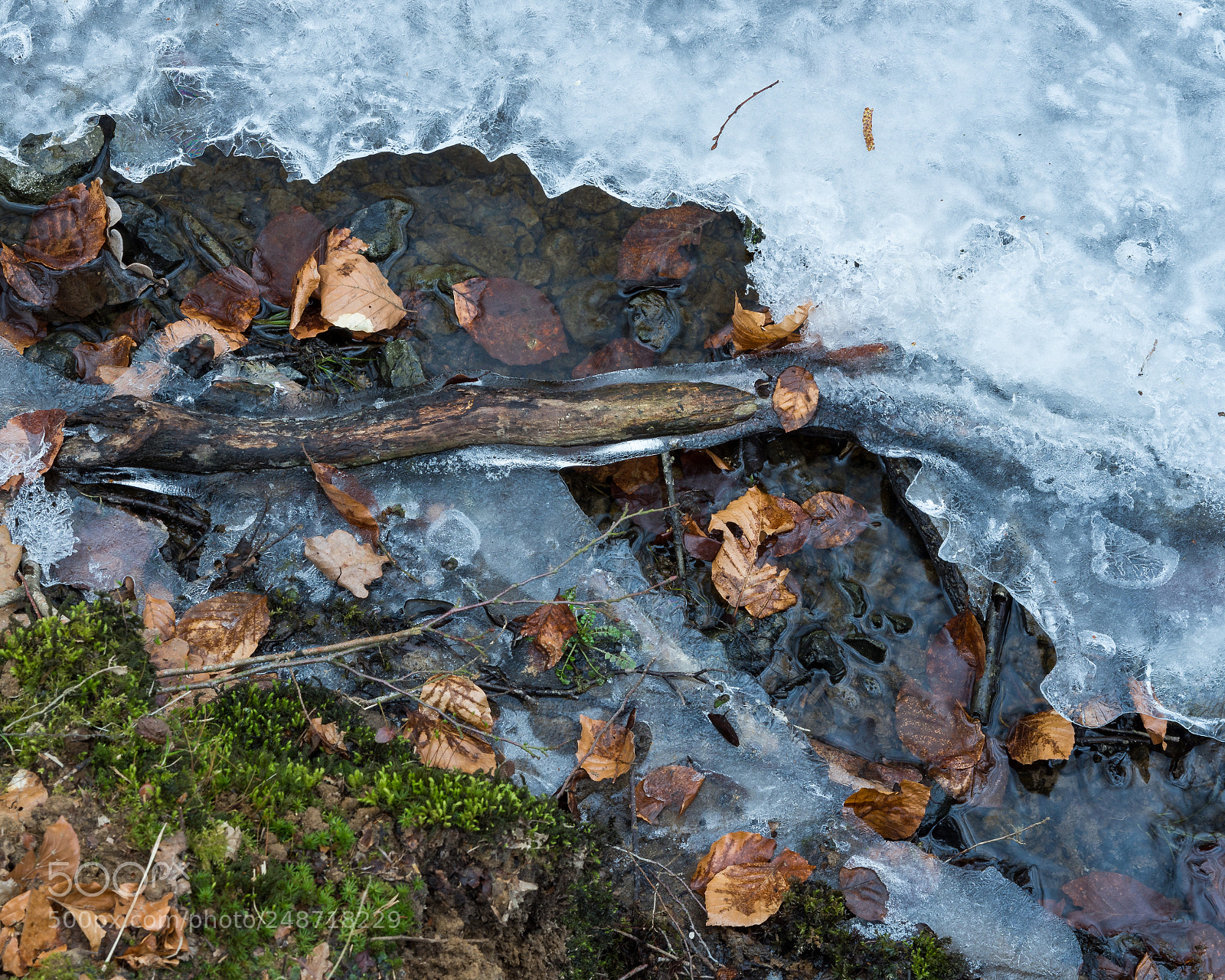 Nikon D7200 sample photo. Nature morte photography