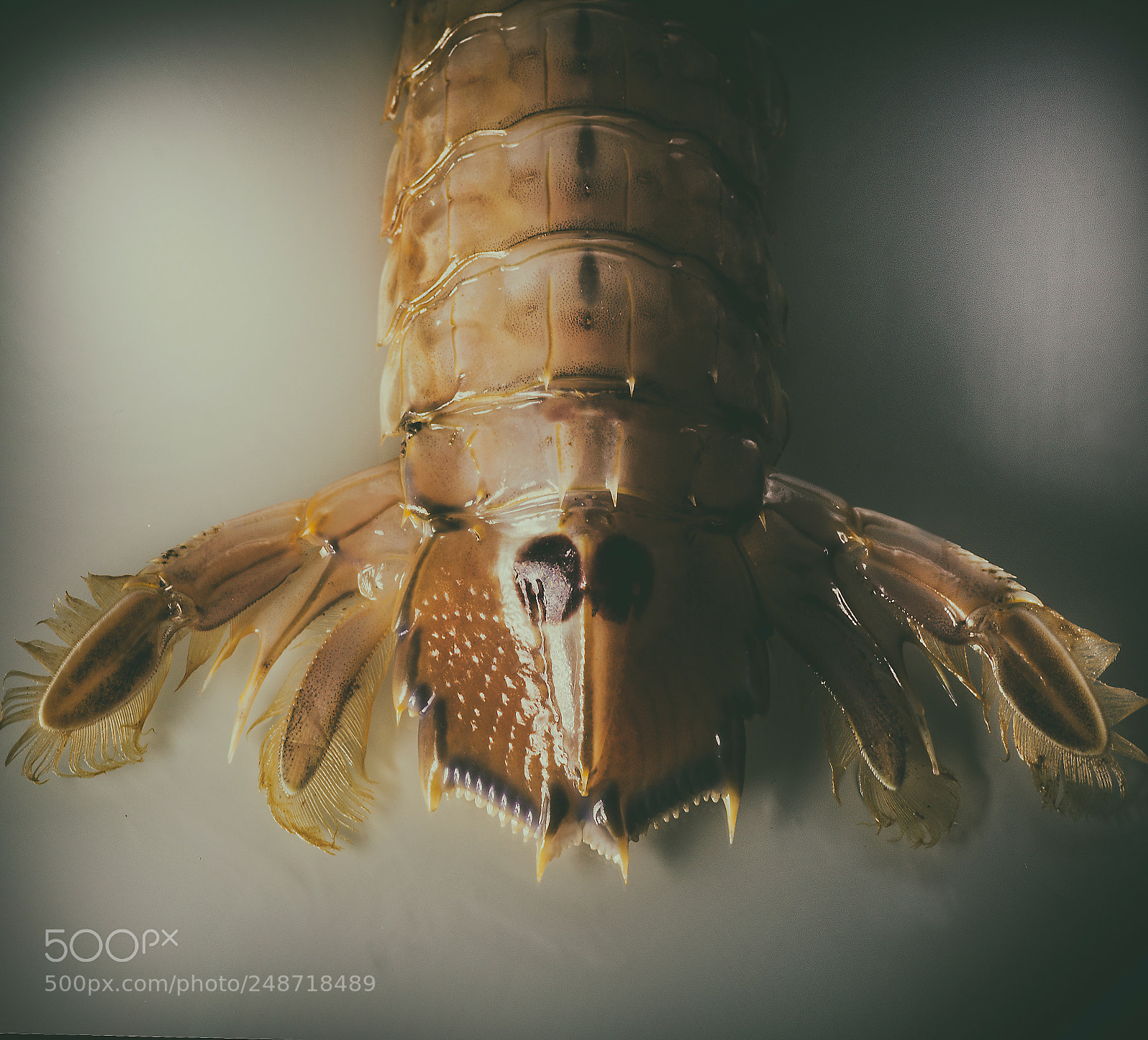 Nikon D7200 sample photo. Untitled photography