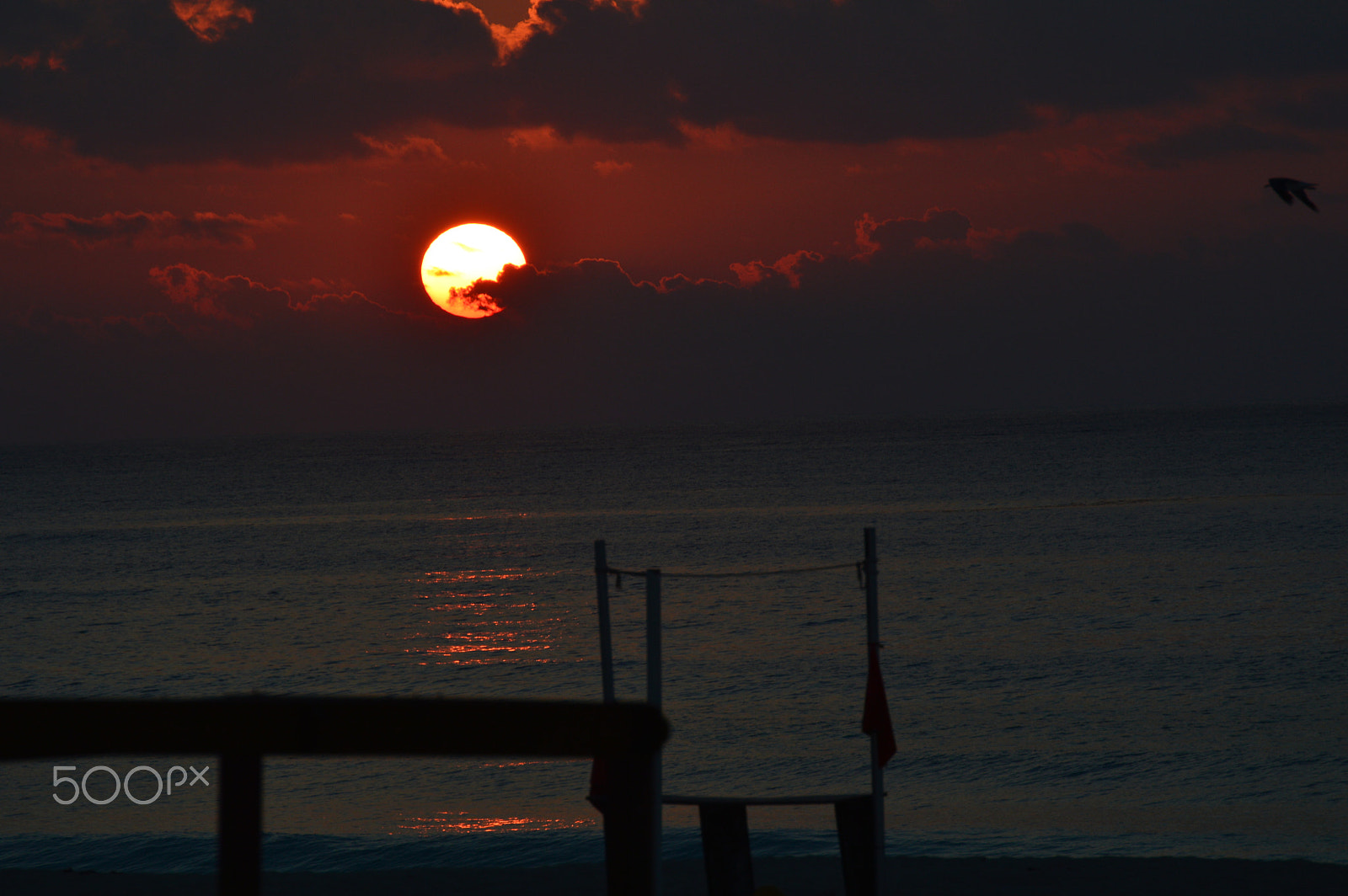 Nikon D3200 sample photo. Baja el sol photography