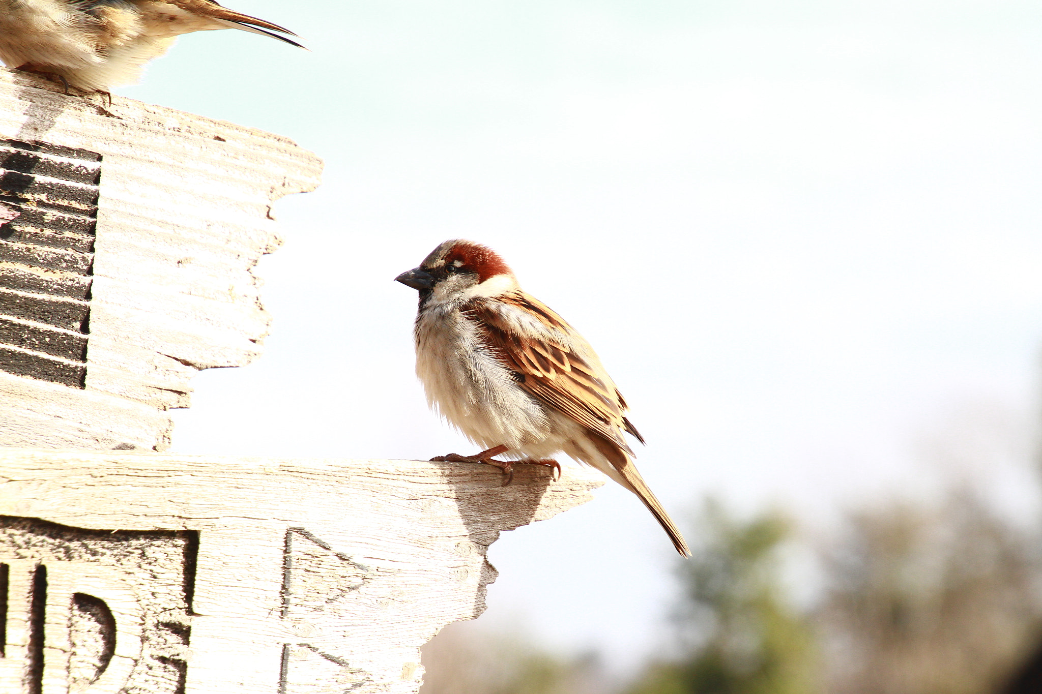 Canon EOS 7D sample photo. Img photography
