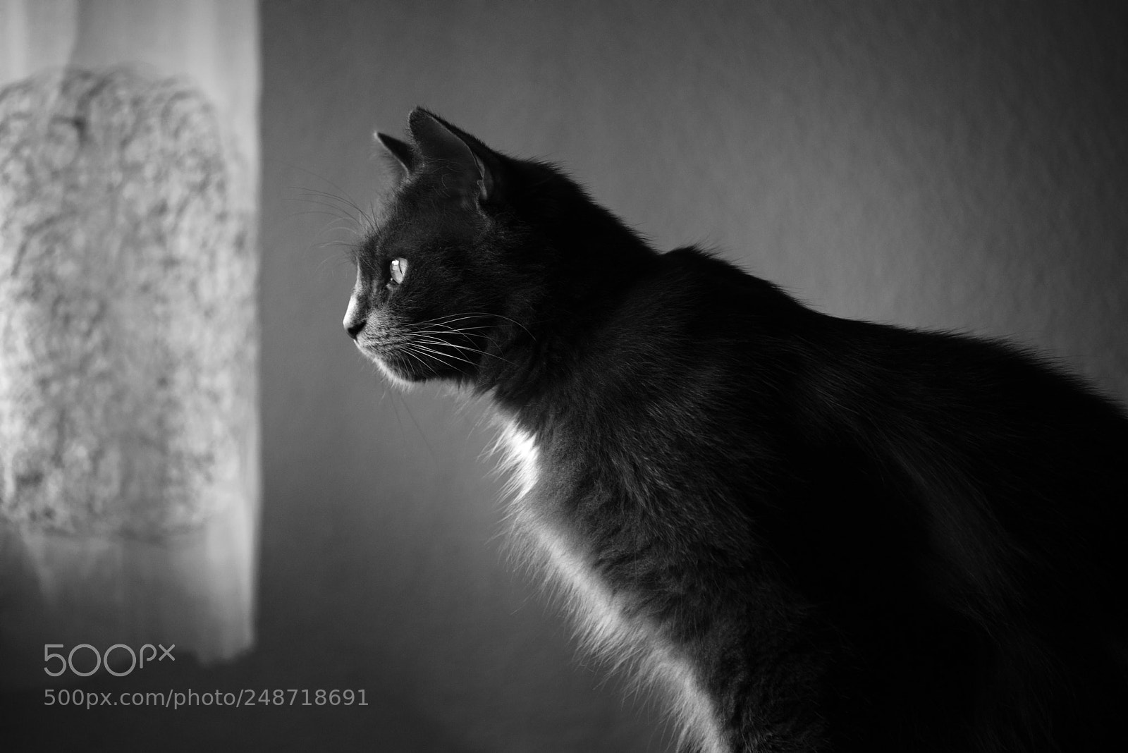 Nikon D610 sample photo. Grignote photography