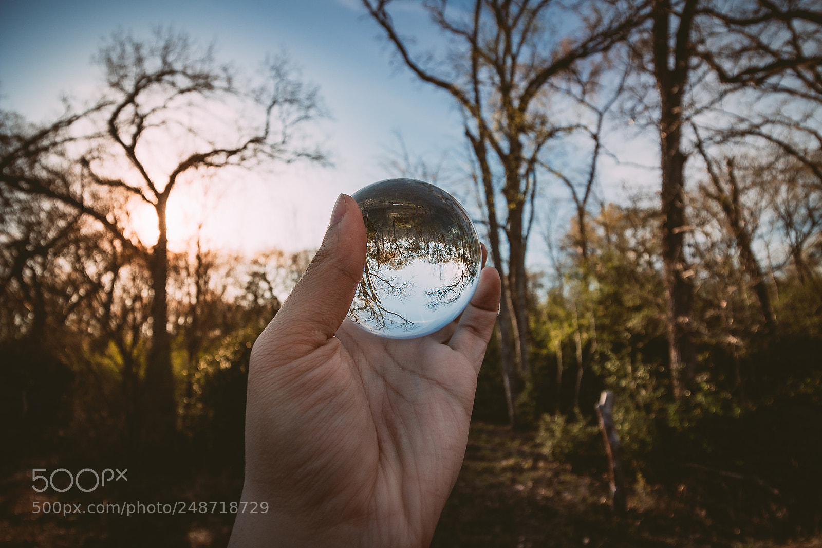 Canon EOS 1200D (EOS Rebel T5 / EOS Kiss X70 / EOS Hi) sample photo. Crystal ball photography