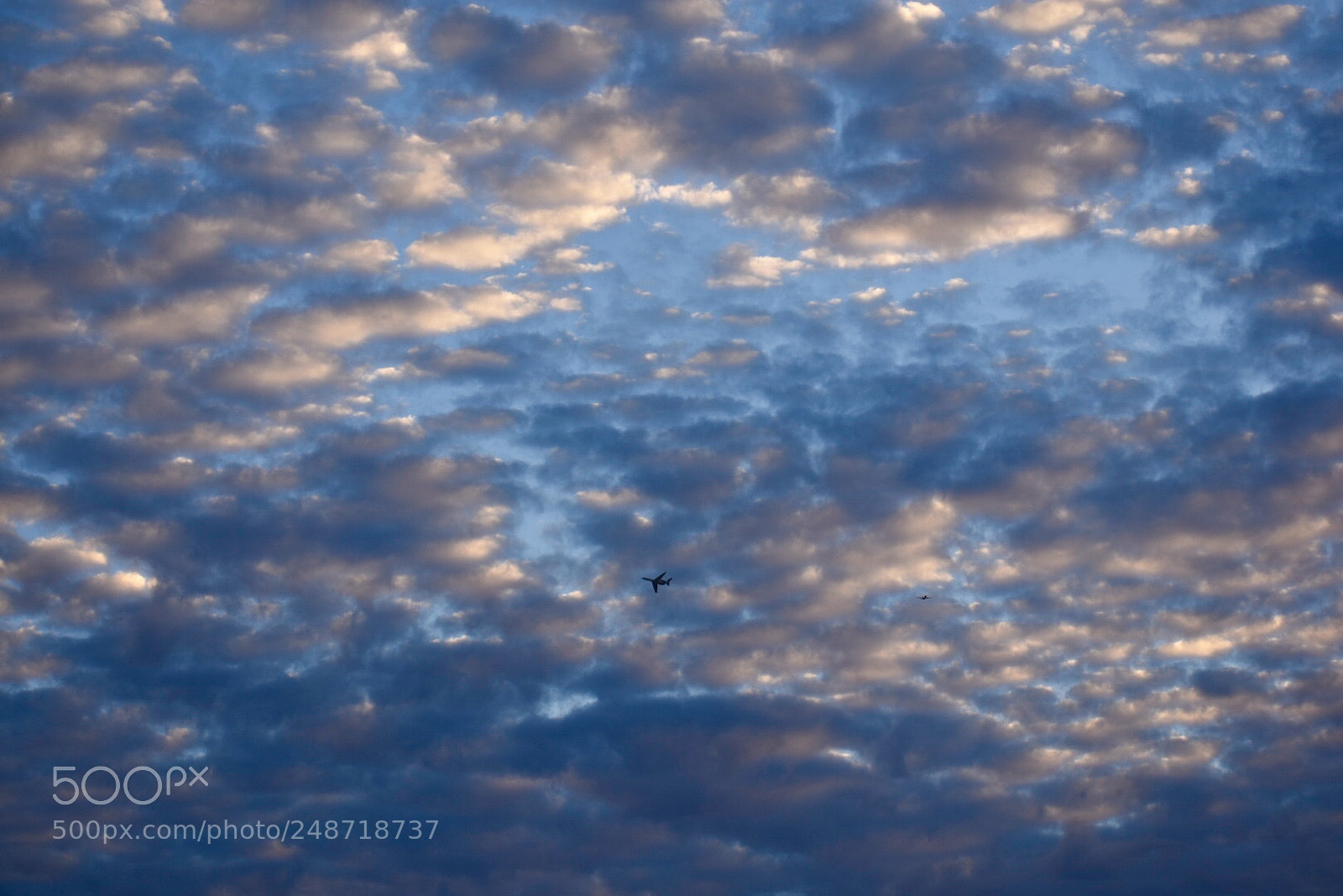 Nikon D3400 sample photo. Sunrise flight photography