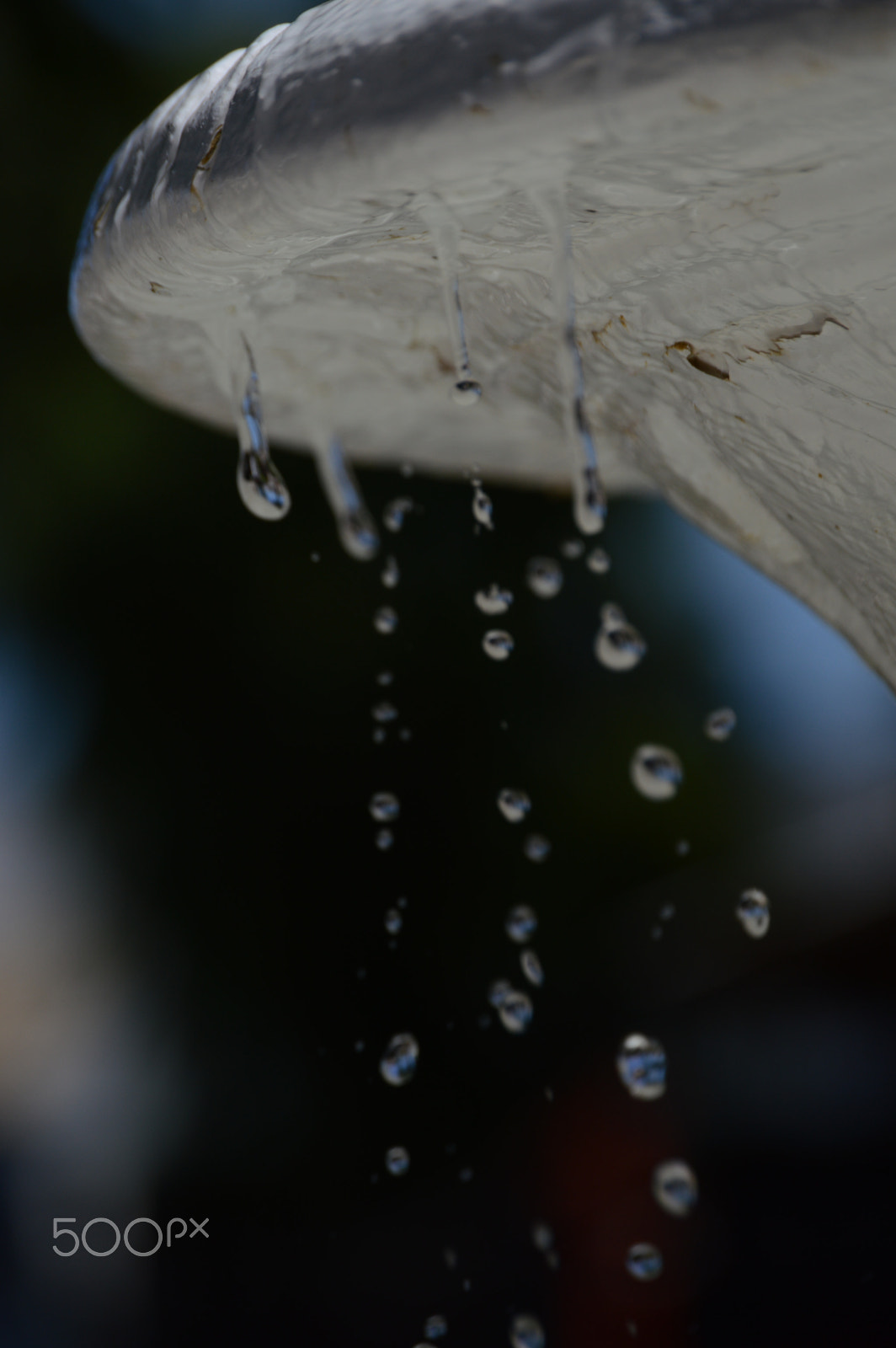 Nikon D3200 sample photo. Fuente de inspiración photography