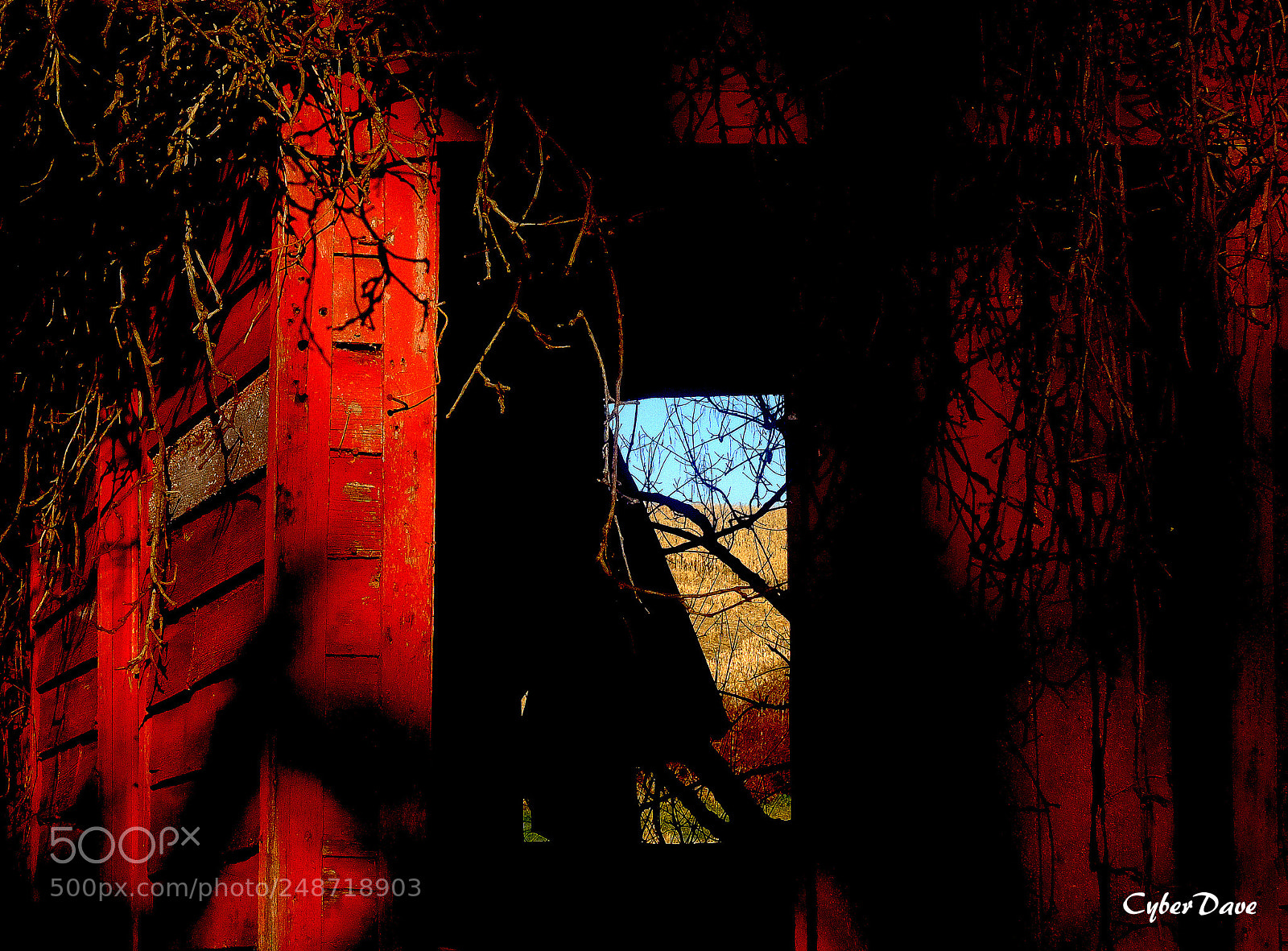 Fujifilm X-T10 sample photo. Old springhouse photography