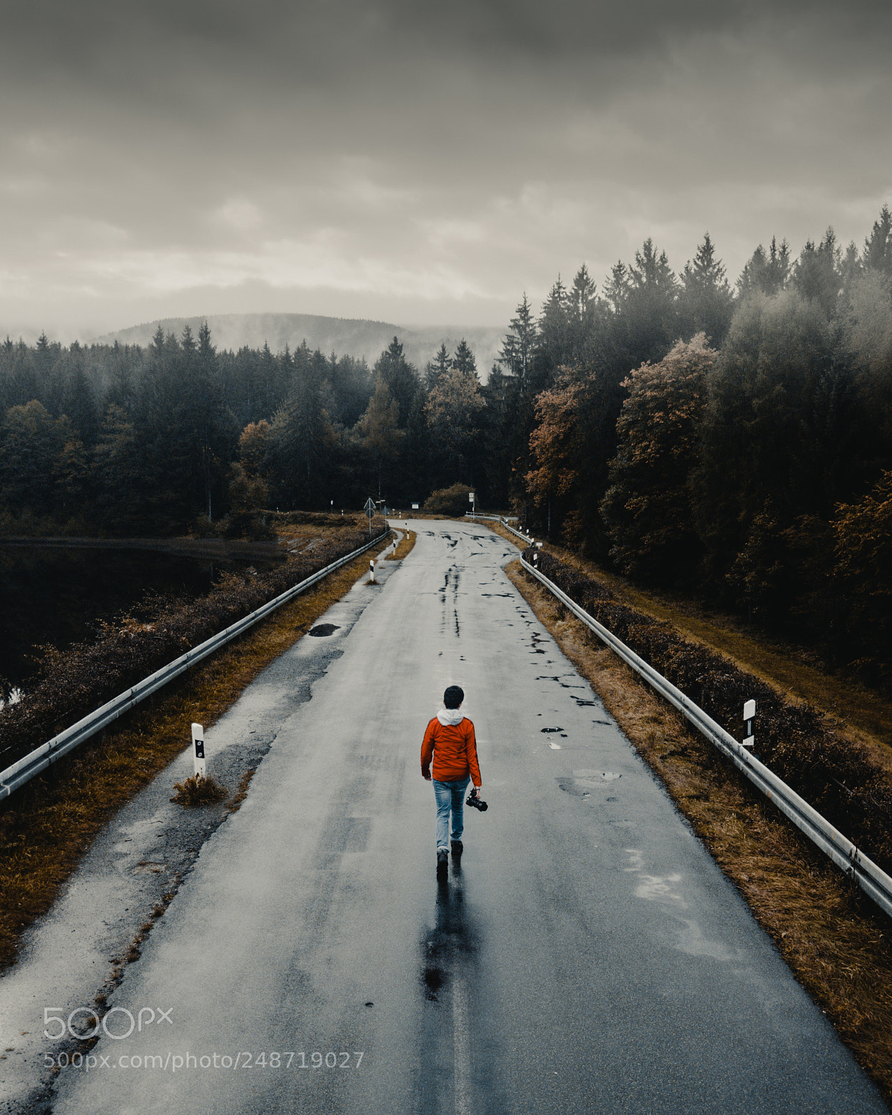 DJI FC220 sample photo. Running into the fog! photography