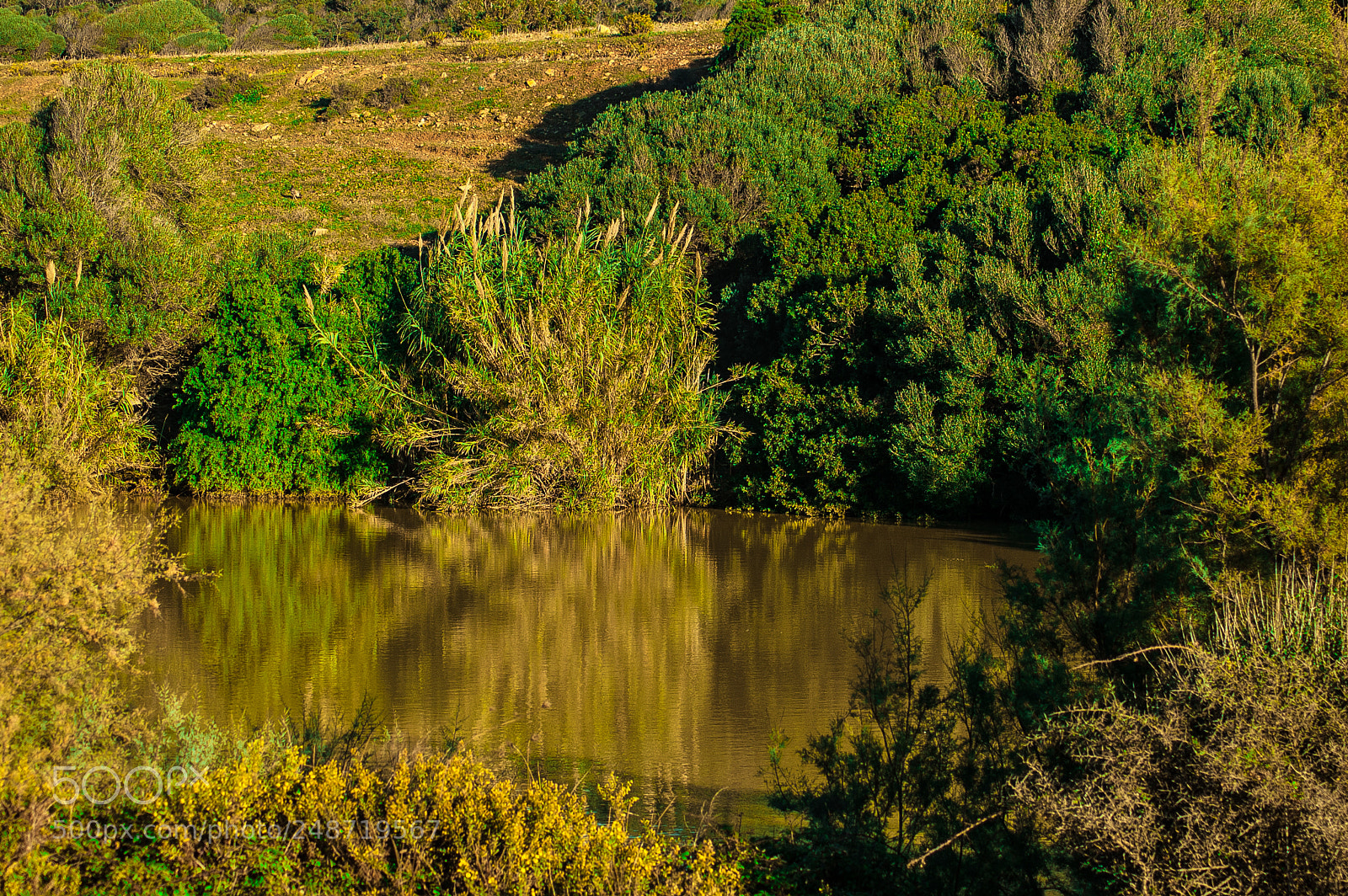 Nikon D50 sample photo. Hawai ria - tunisia photography
