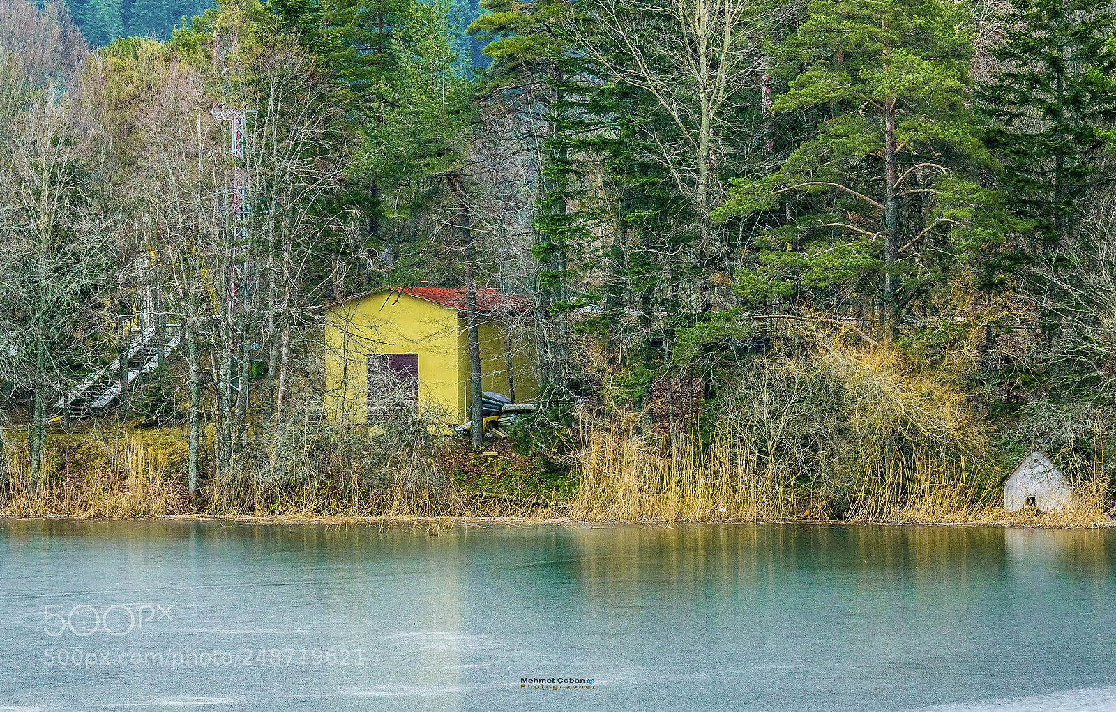 Pentax K-3 II sample photo. A beautiful nature photography
