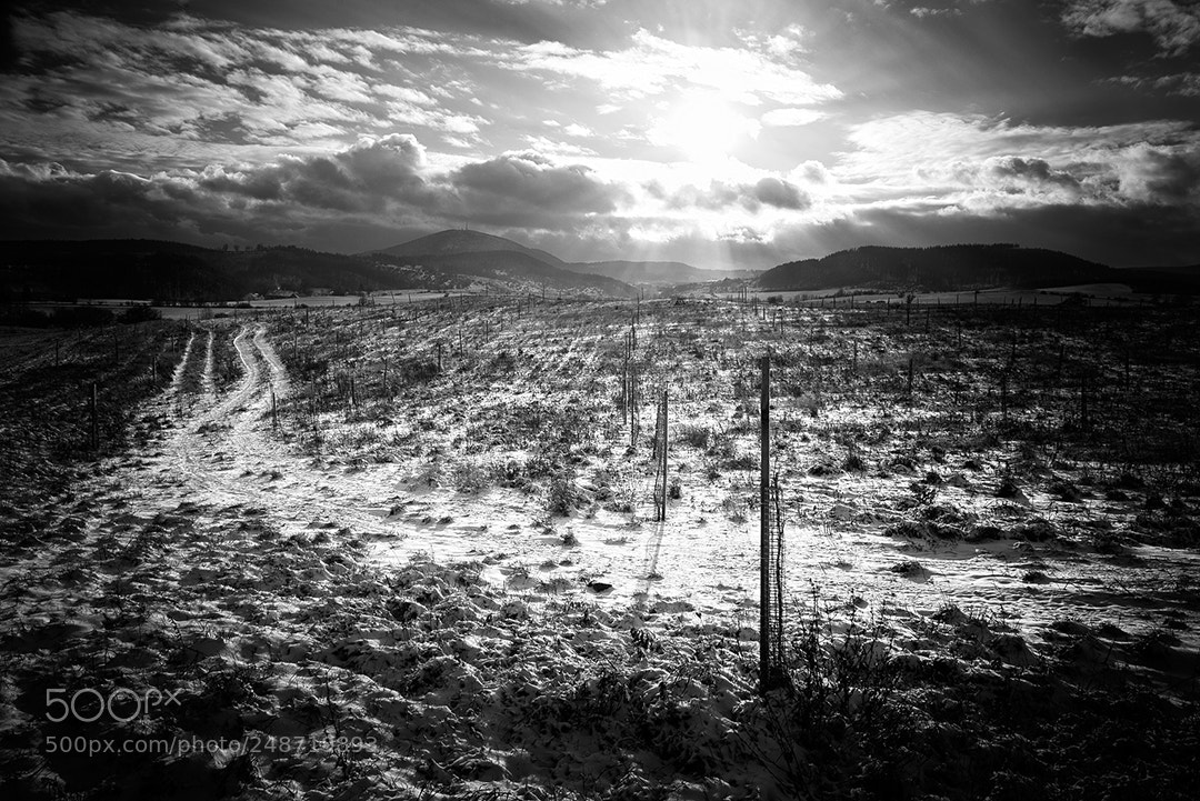 Nikon D800 sample photo. Winter is comming photography