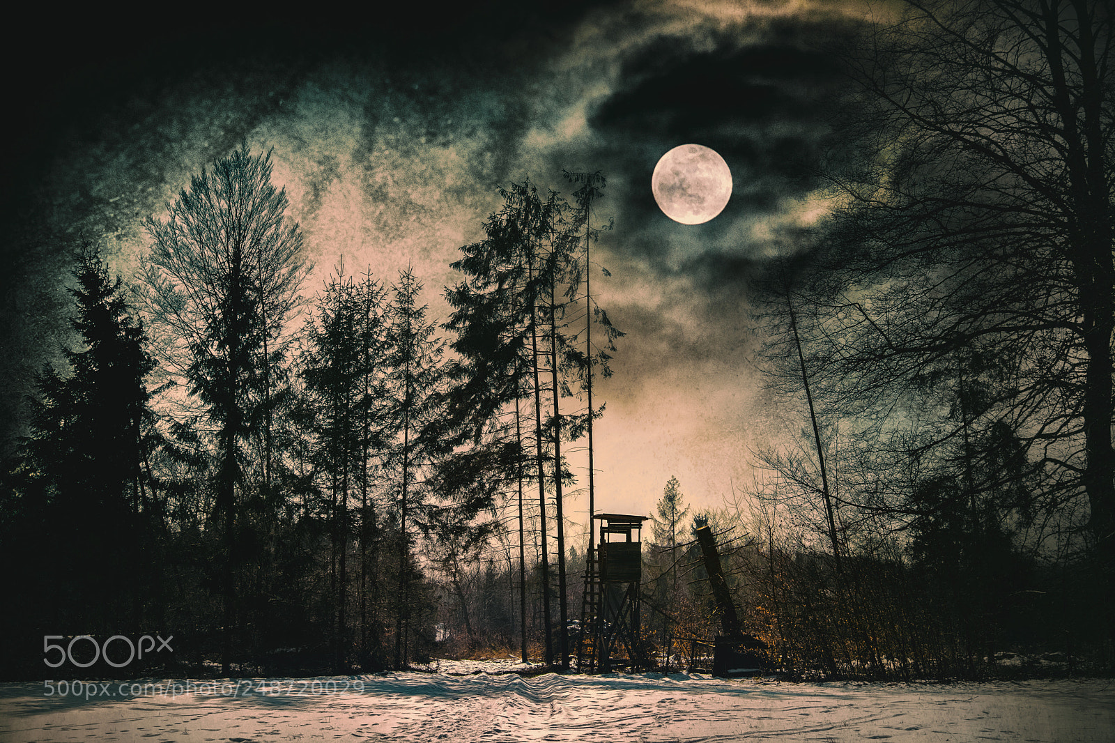 Fujifilm X-T20 sample photo. Vollmond photography