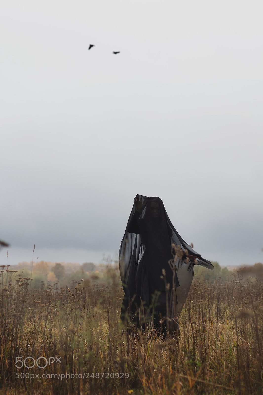 Canon EOS 650D (EOS Rebel T4i / EOS Kiss X6i) sample photo. The spirit of foggy photography