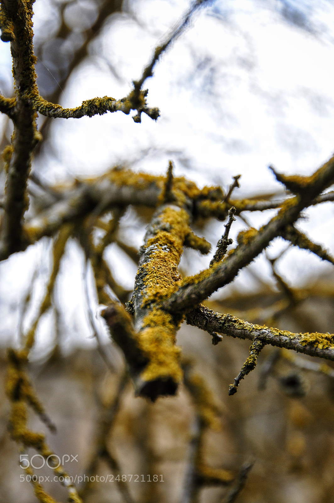 Nikon D90 sample photo. Untitled photography