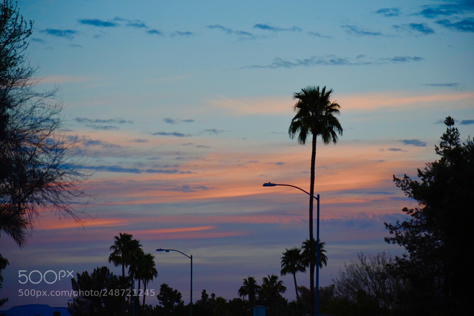 Nikon D3400 sample photo. First light of dawn. photography