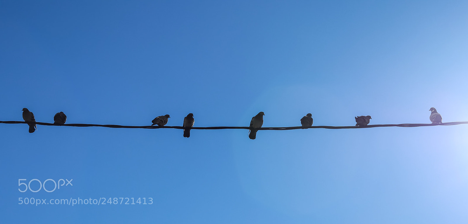 Canon EOS M6 sample photo. Oktadove photography