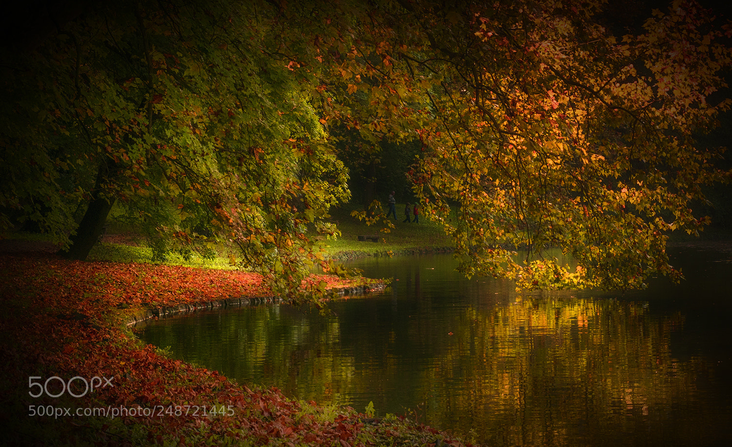 Sony ILCA-77M2 sample photo. Lake under the foliage photography