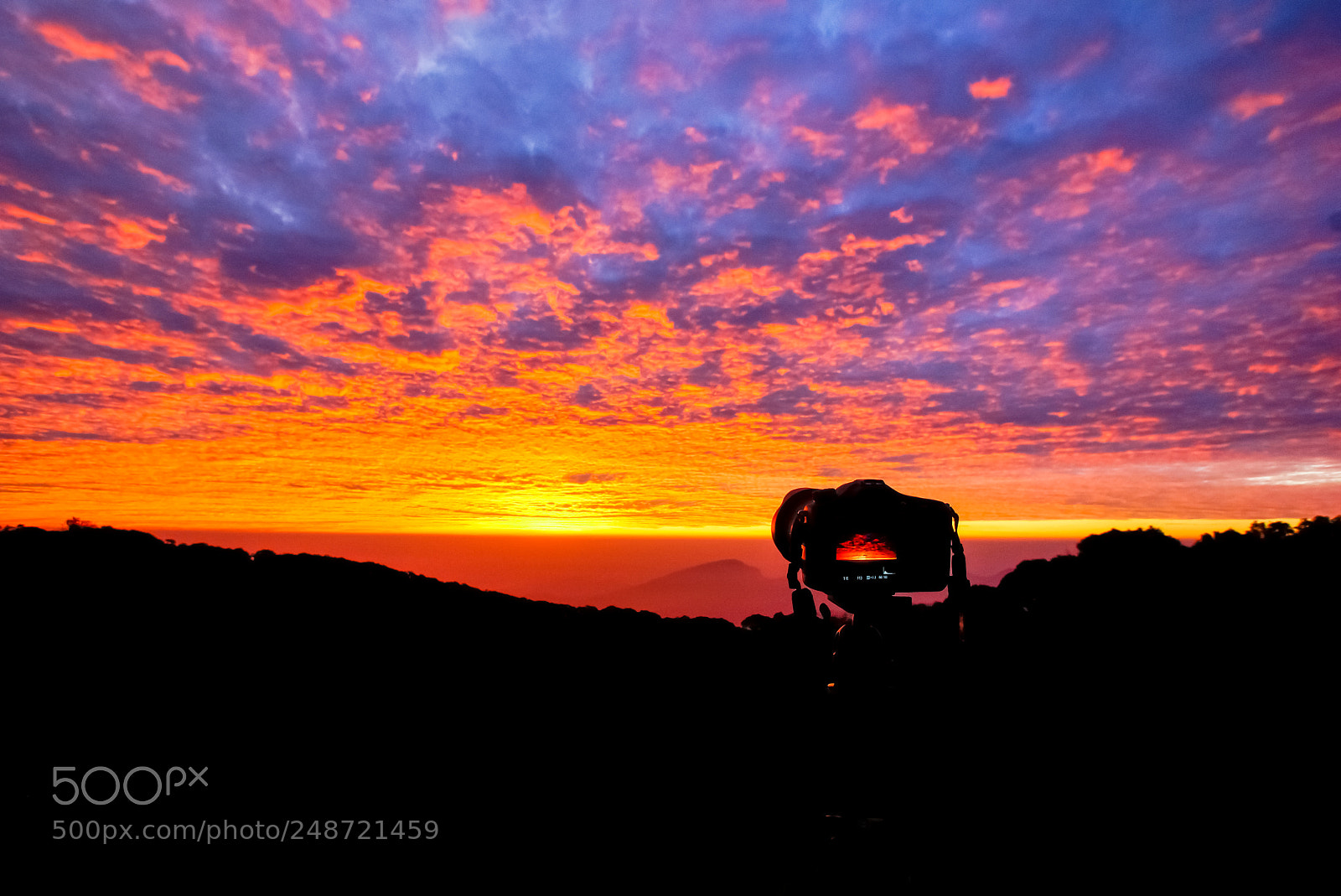 Sony SLT-A77 sample photo. Amazing of beautiful sunrise photography