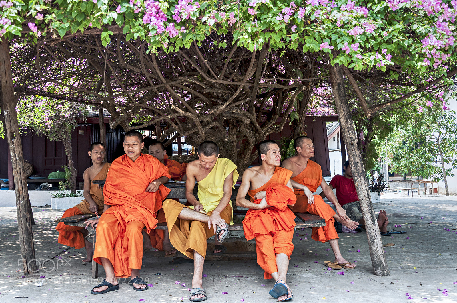 Nikon D90 sample photo. Shade / laos photography